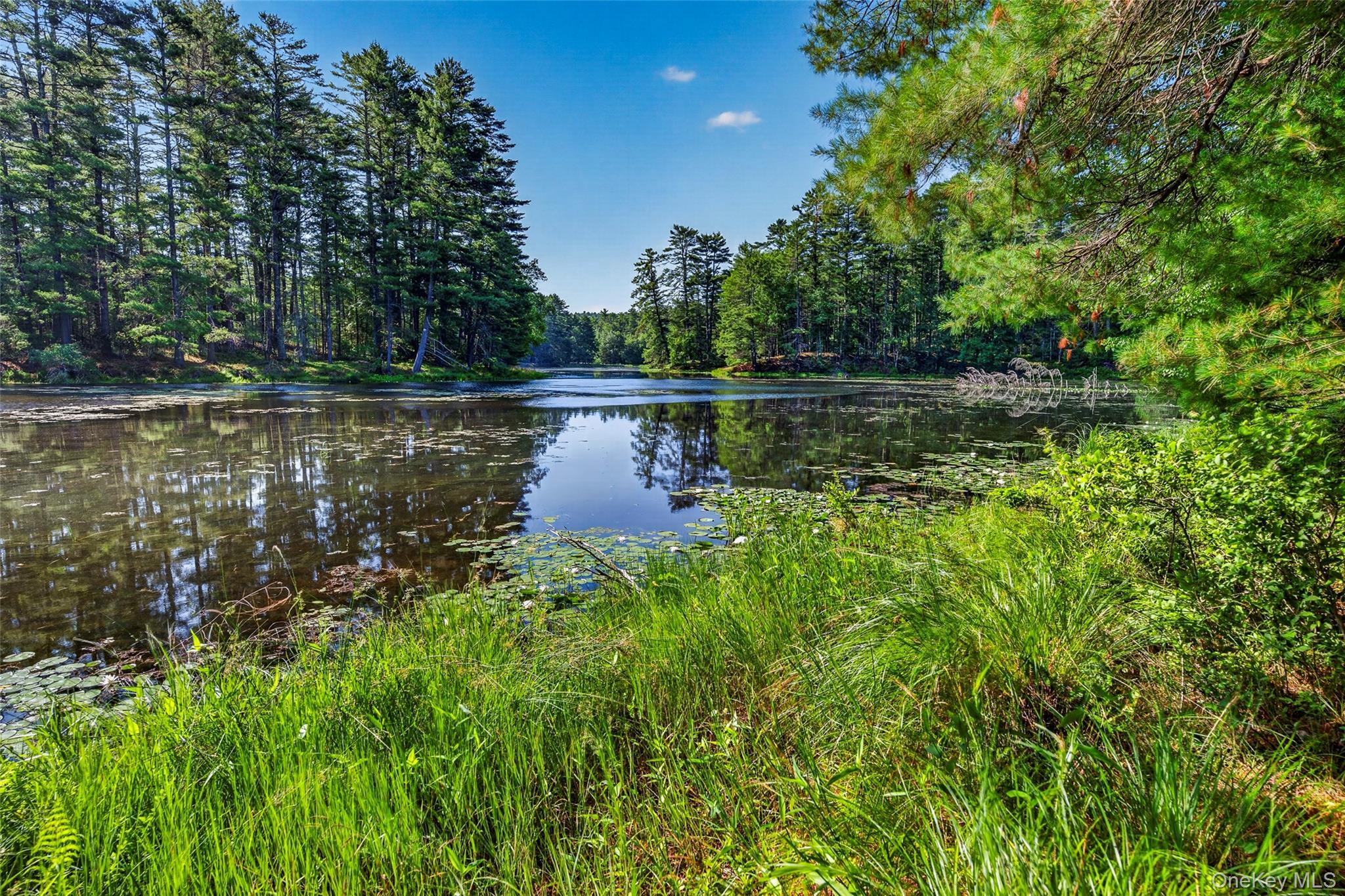 Single Family Beaver Brook Road  Sullivan County, NY 12764, MLS-1021713-3