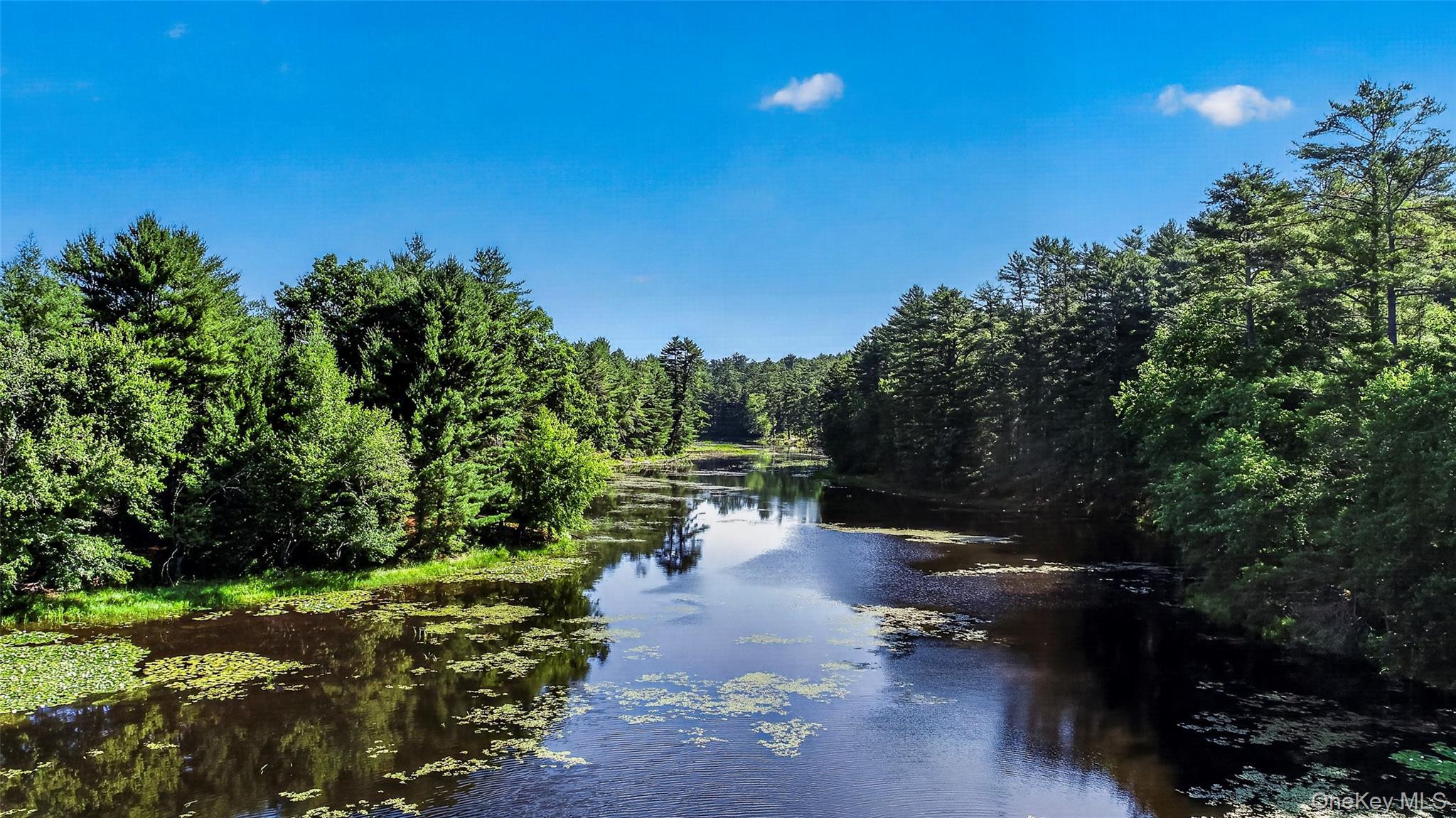 Single Family Beaver Brook Road  Sullivan County, NY 12764, MLS-1021713-30