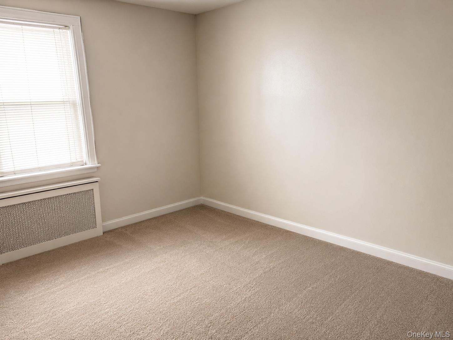 Single Family Francis Lewis Boulevard  Queens, NY 11413, MLS-1021751-8