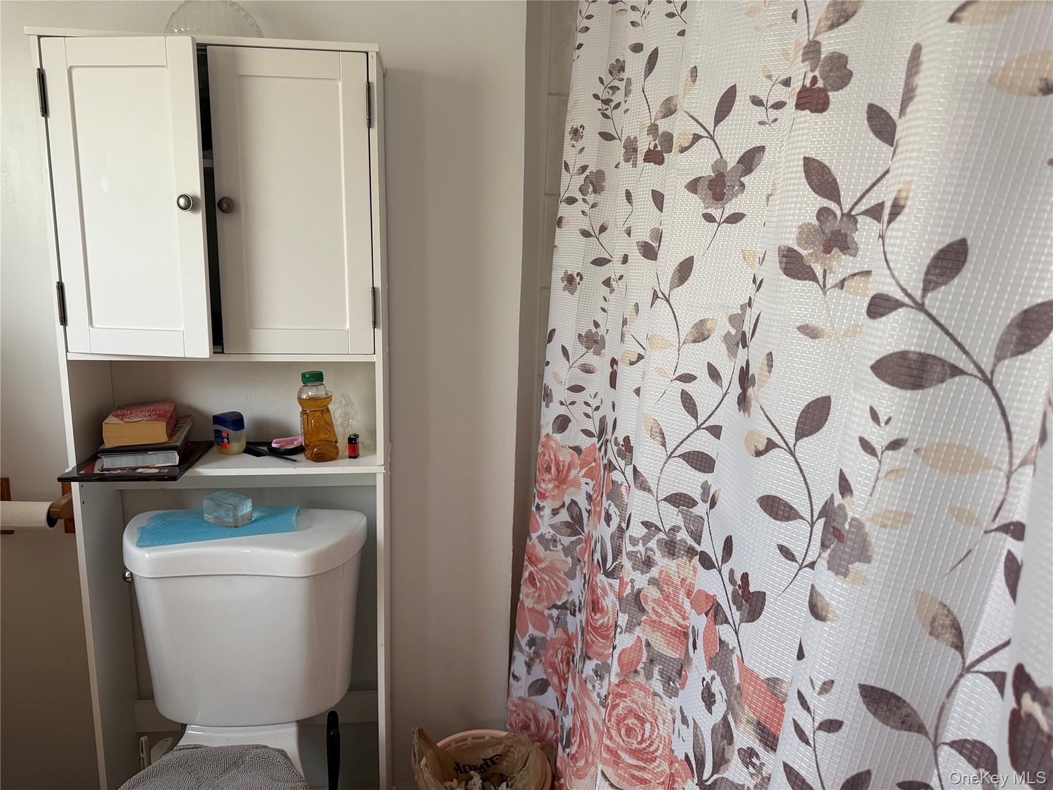 Single Family Francis Lewis Boulevard  Queens, NY 11413, MLS-1021751-9