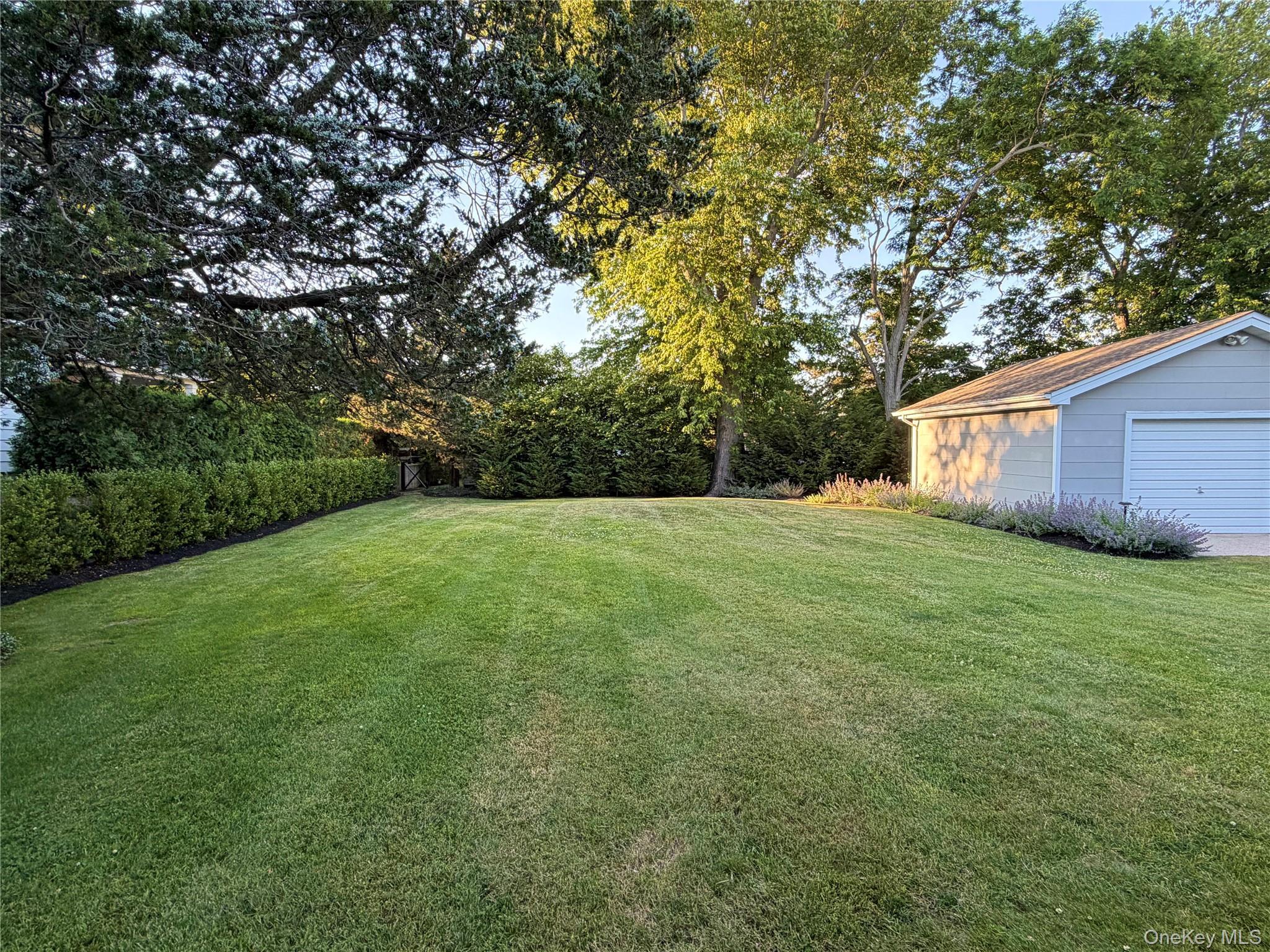 Single Family Locust Street Suffolk County, NY 11901, MLS-1021791-16