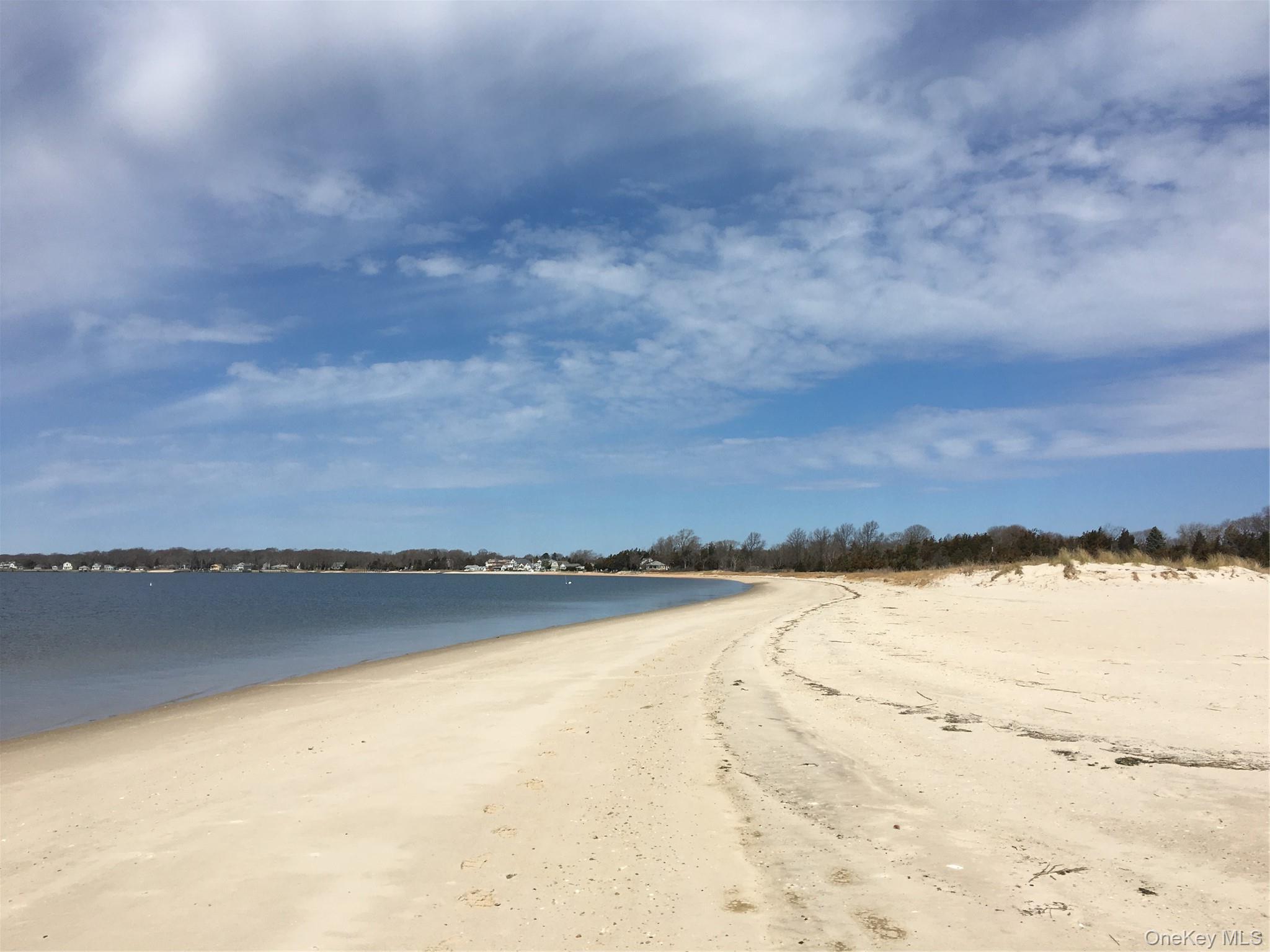 Single Family Locust Street  Suffolk County, NY 11901, MLS-1021791-23