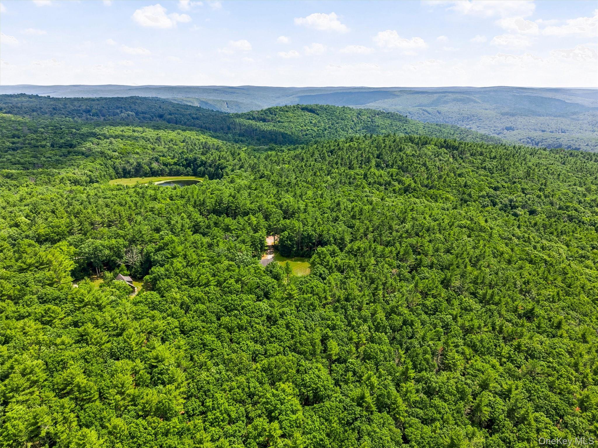 Single Family Split Rock Drive  Sullivan County, NY 12719, MLS-1021819-10