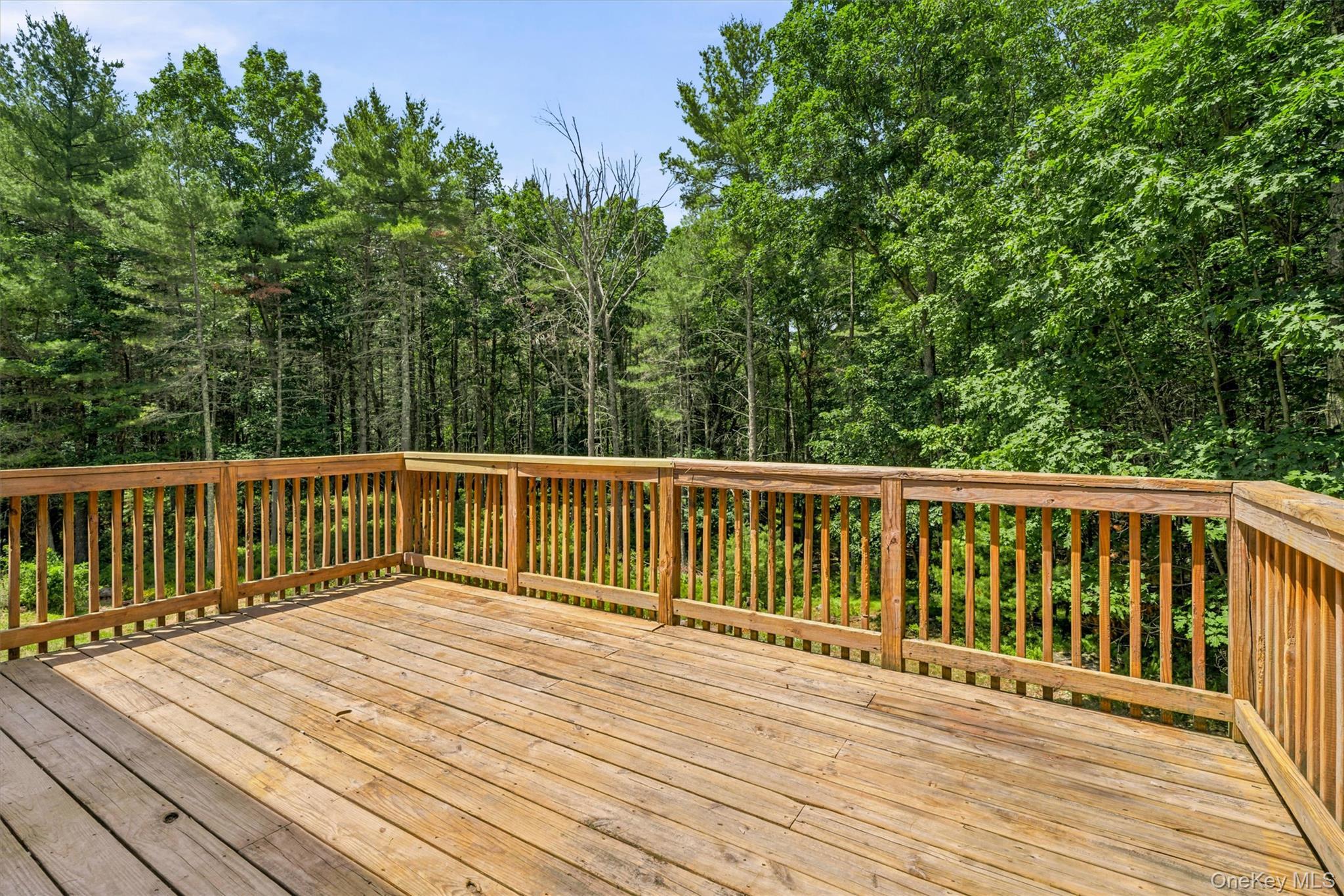 Single Family Split Rock Drive  Sullivan County, NY 12719, MLS-1021819-19