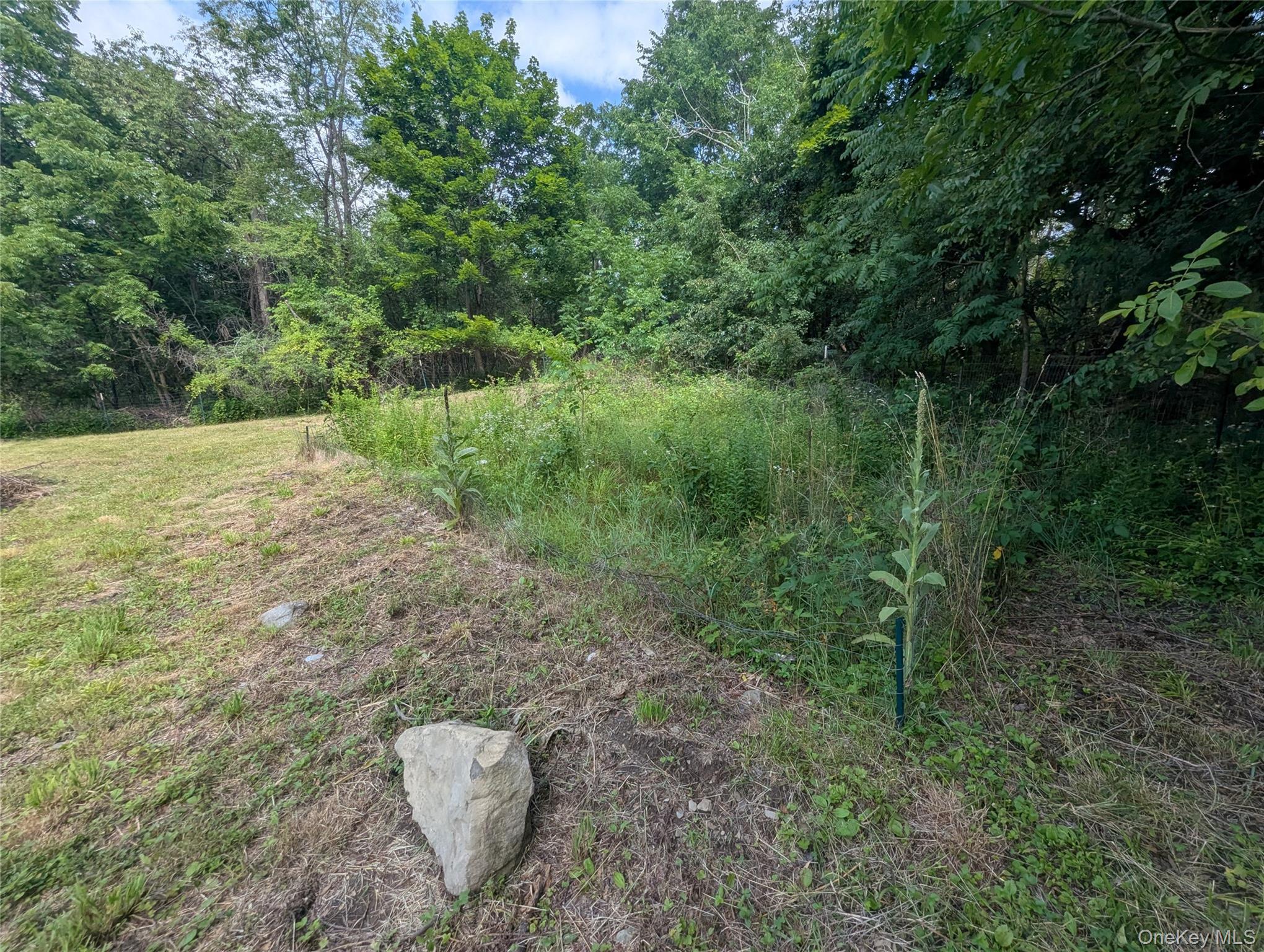 Single Family Castle High Road Orange County, NY 10940, MLS-1021833-33