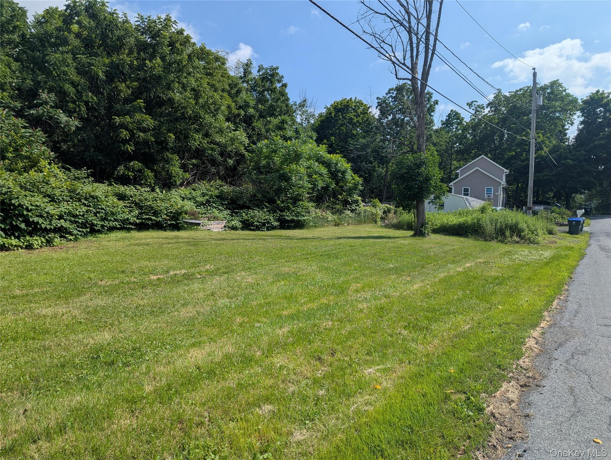 Single Family Castle High Road Orange County, NY 10940, MLS-1021833-38