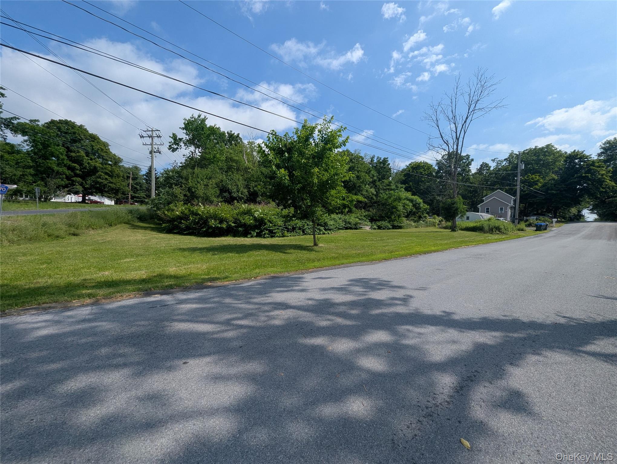 Single Family Castle High Road Orange County, NY 10940, MLS-1021833-40