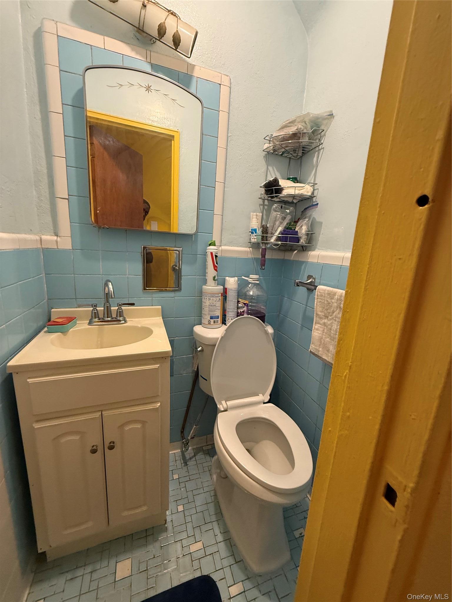 Single Family E 59th Street Brooklyn, NY 11203, MLS-1021844-17