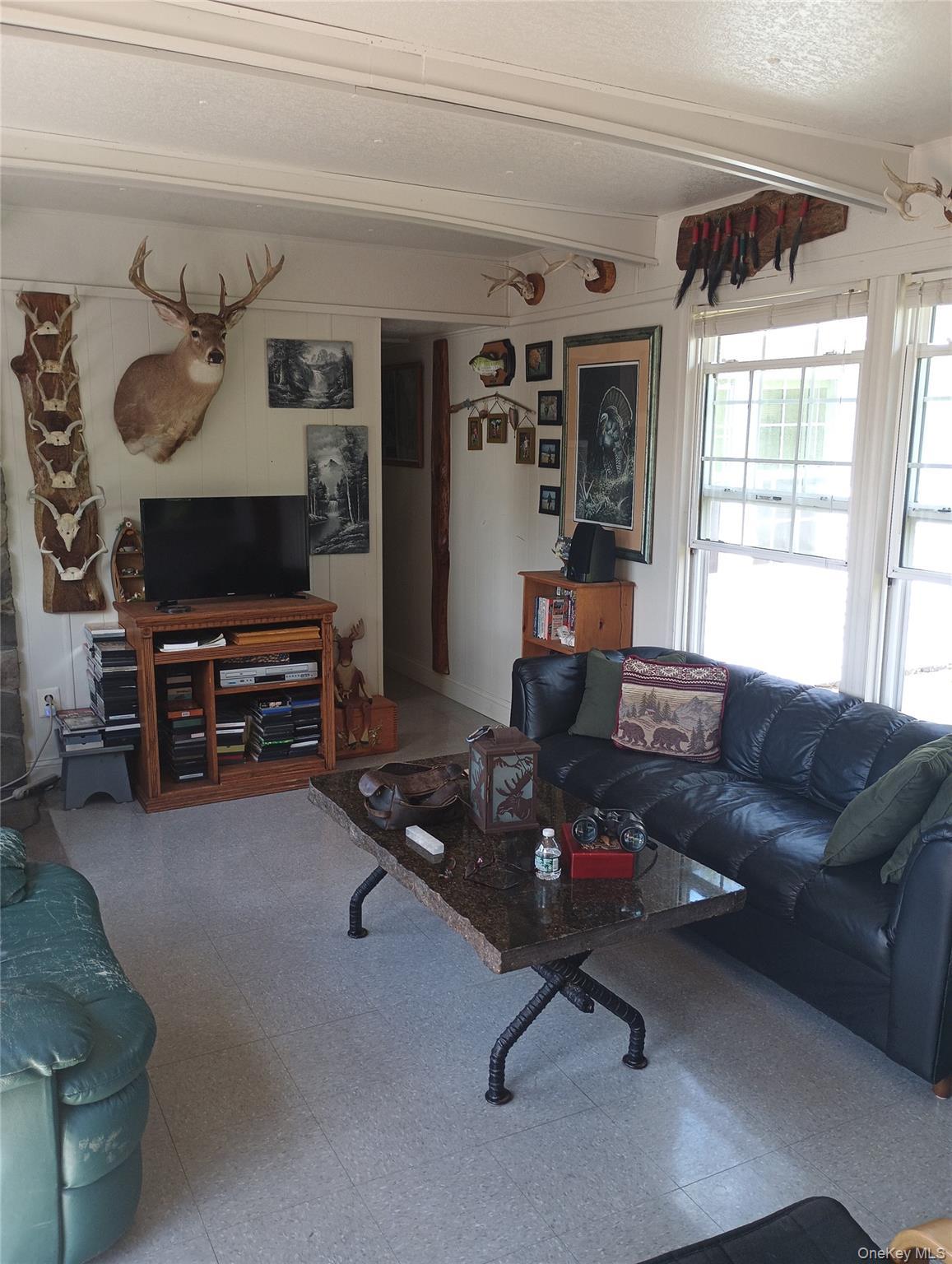 Single Family Gregory Hollow Road Delaware County, NY 13782, MLS-1021848-14