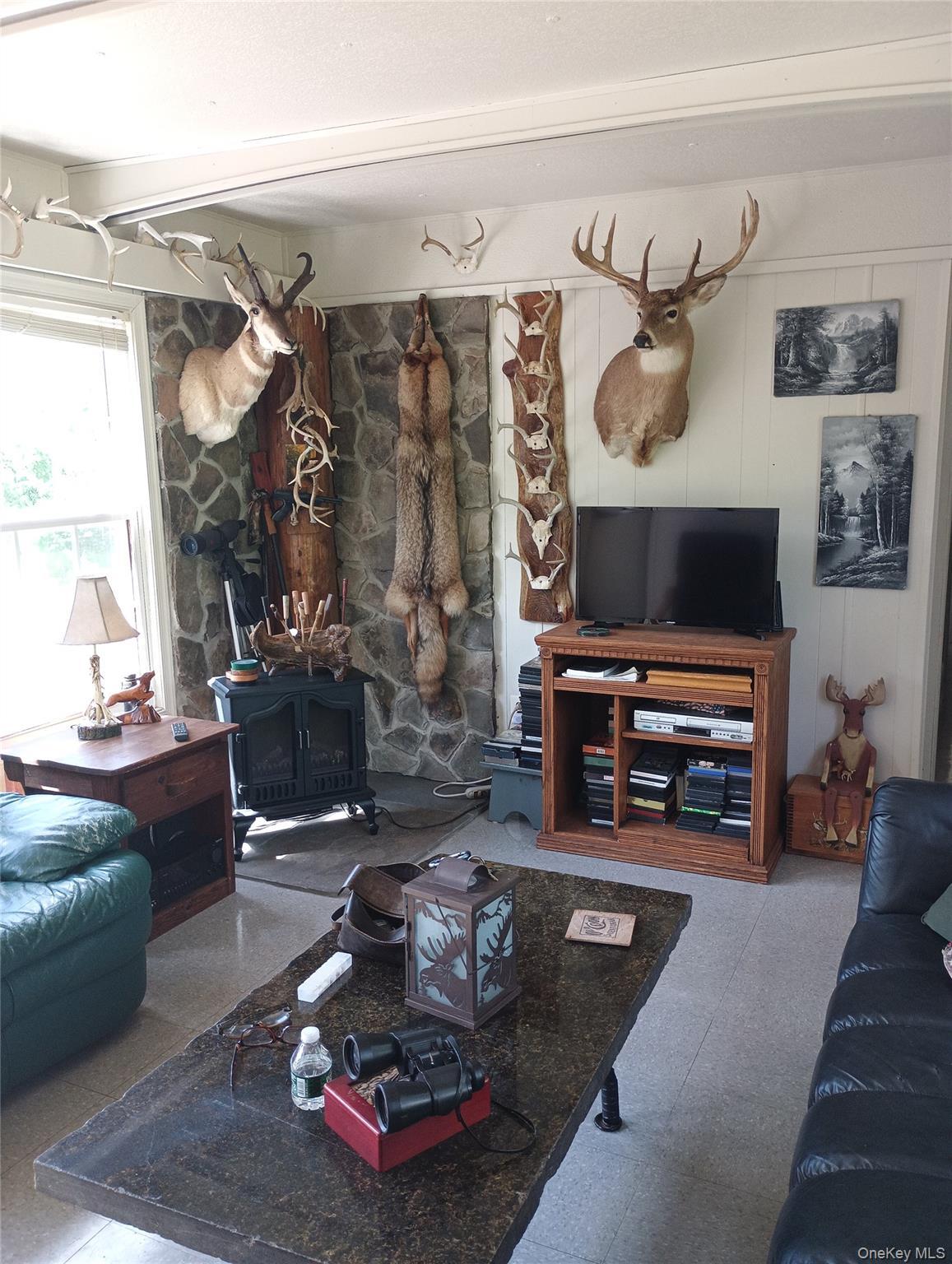 Single Family Gregory Hollow Road Delaware County, NY 13782, MLS-1021848-15