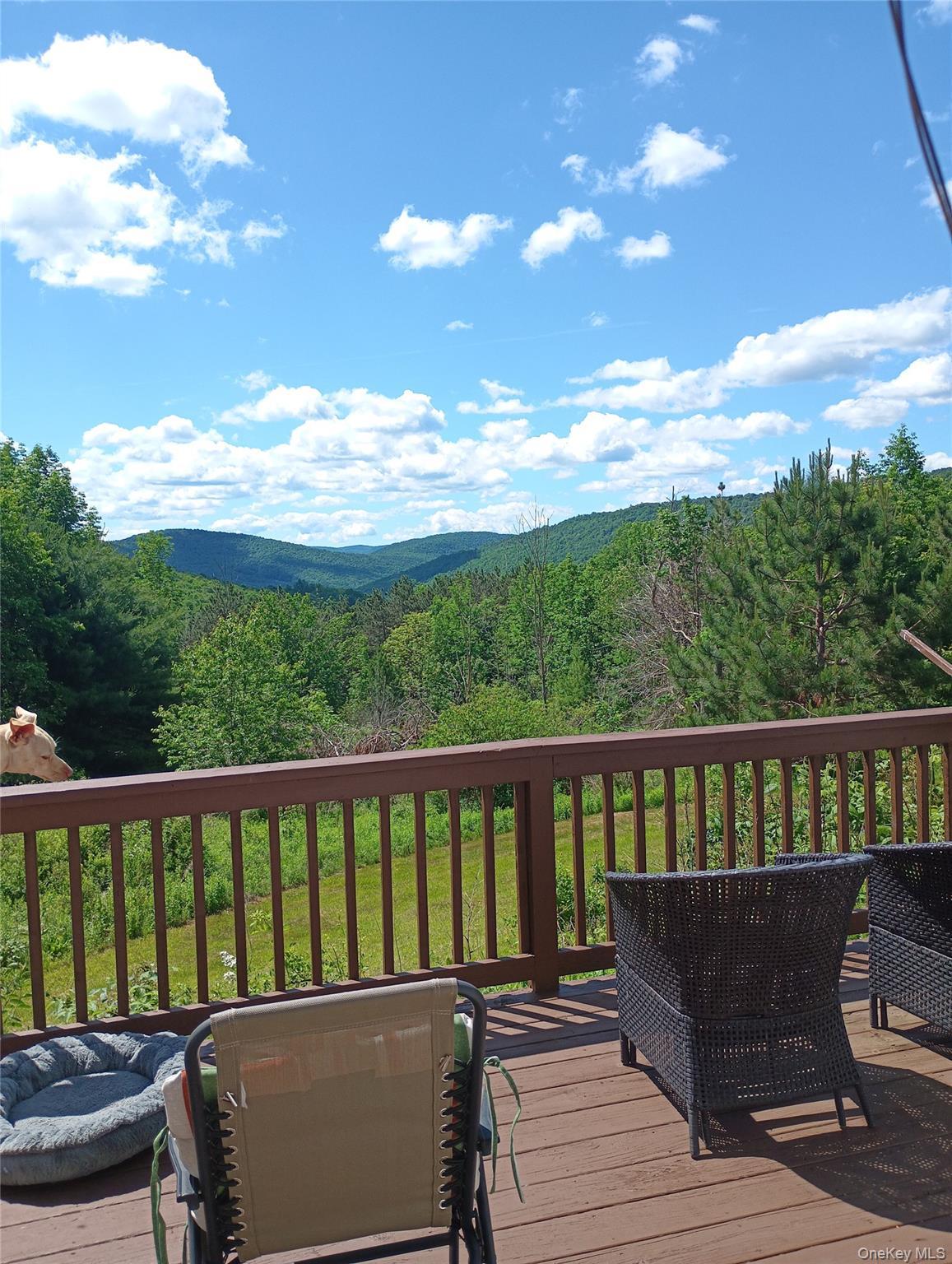 Single Family Gregory Hollow Road Delaware County, NY 13782, MLS-1021848-2