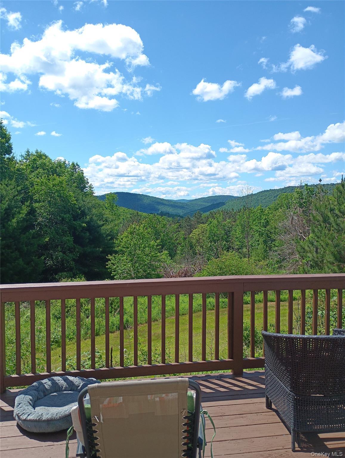 Single Family Gregory Hollow Road Delaware County, NY 13782, MLS-1021848-3