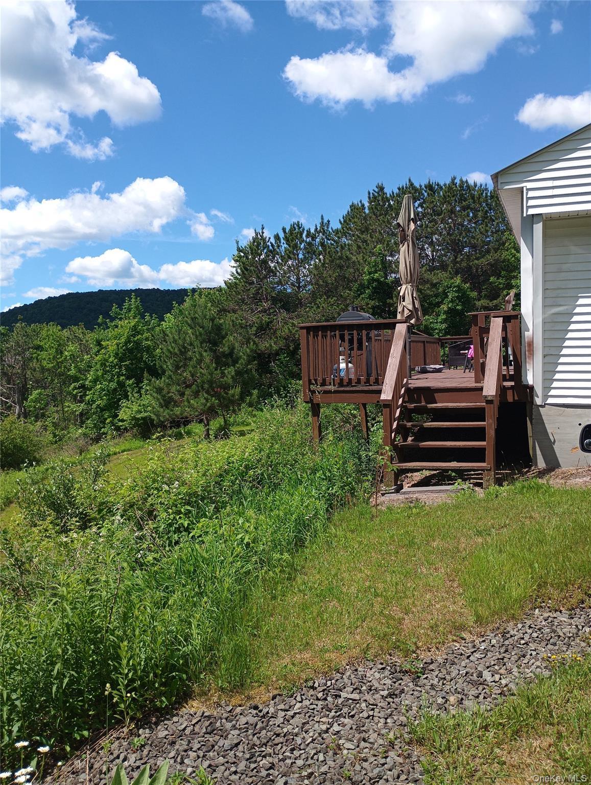 Single Family Gregory Hollow Road Delaware County, NY 13782, MLS-1021848-31