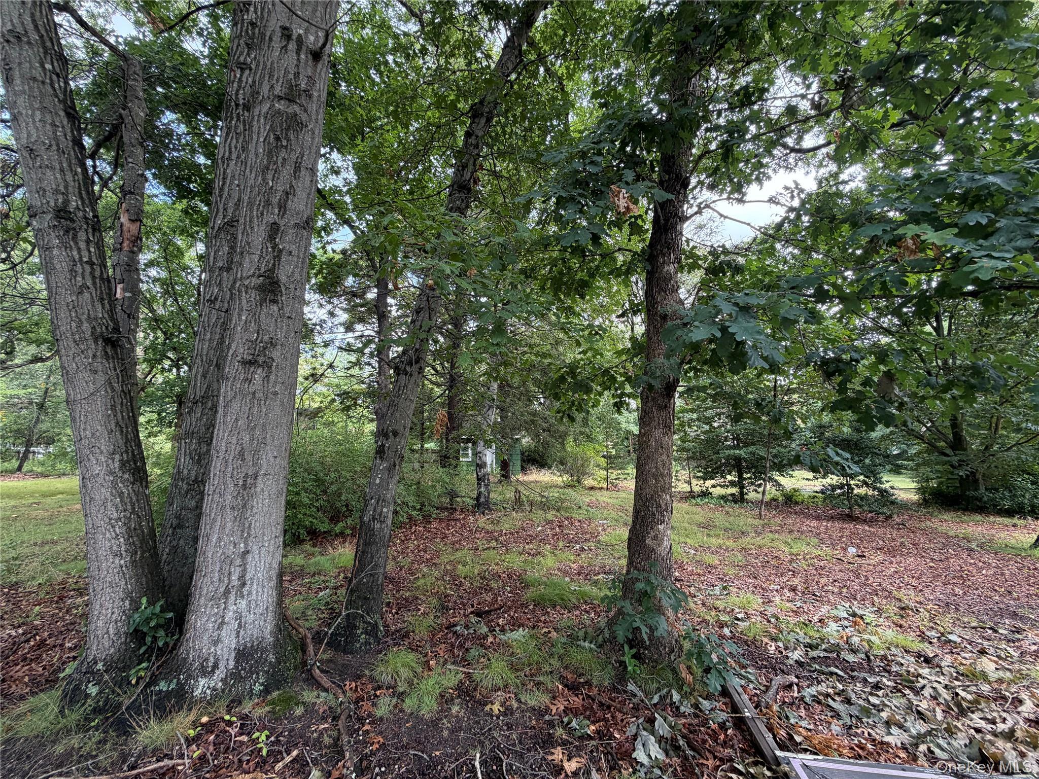 Single Family Amityville Street  Suffolk County, NY 11752, MLS-1021879-3