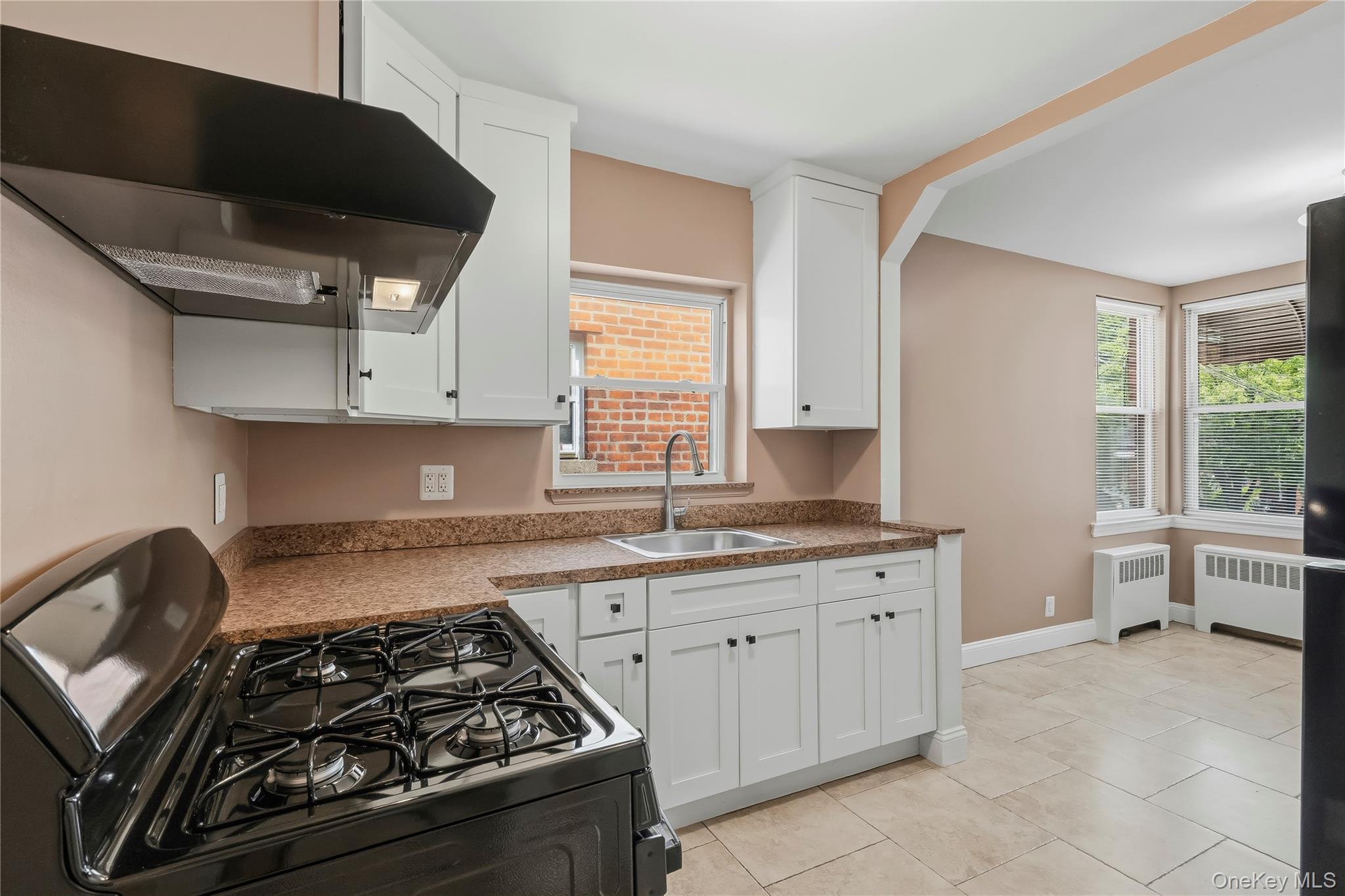 Single Family Quincy Avenue Bronx, NY 10465, MLS-1021886-8