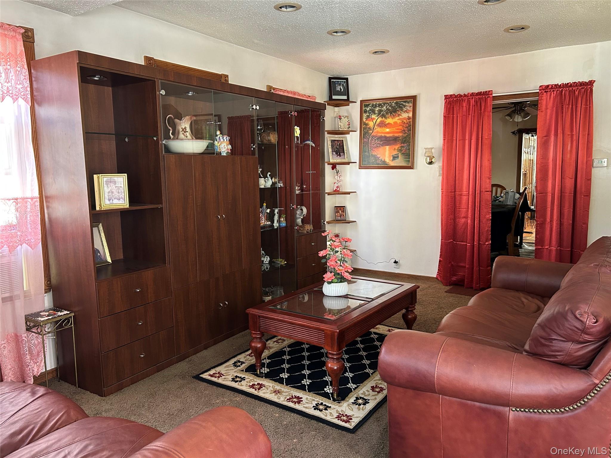Single Family 131st Street Queens, NY 11420, MLS-1021890-3