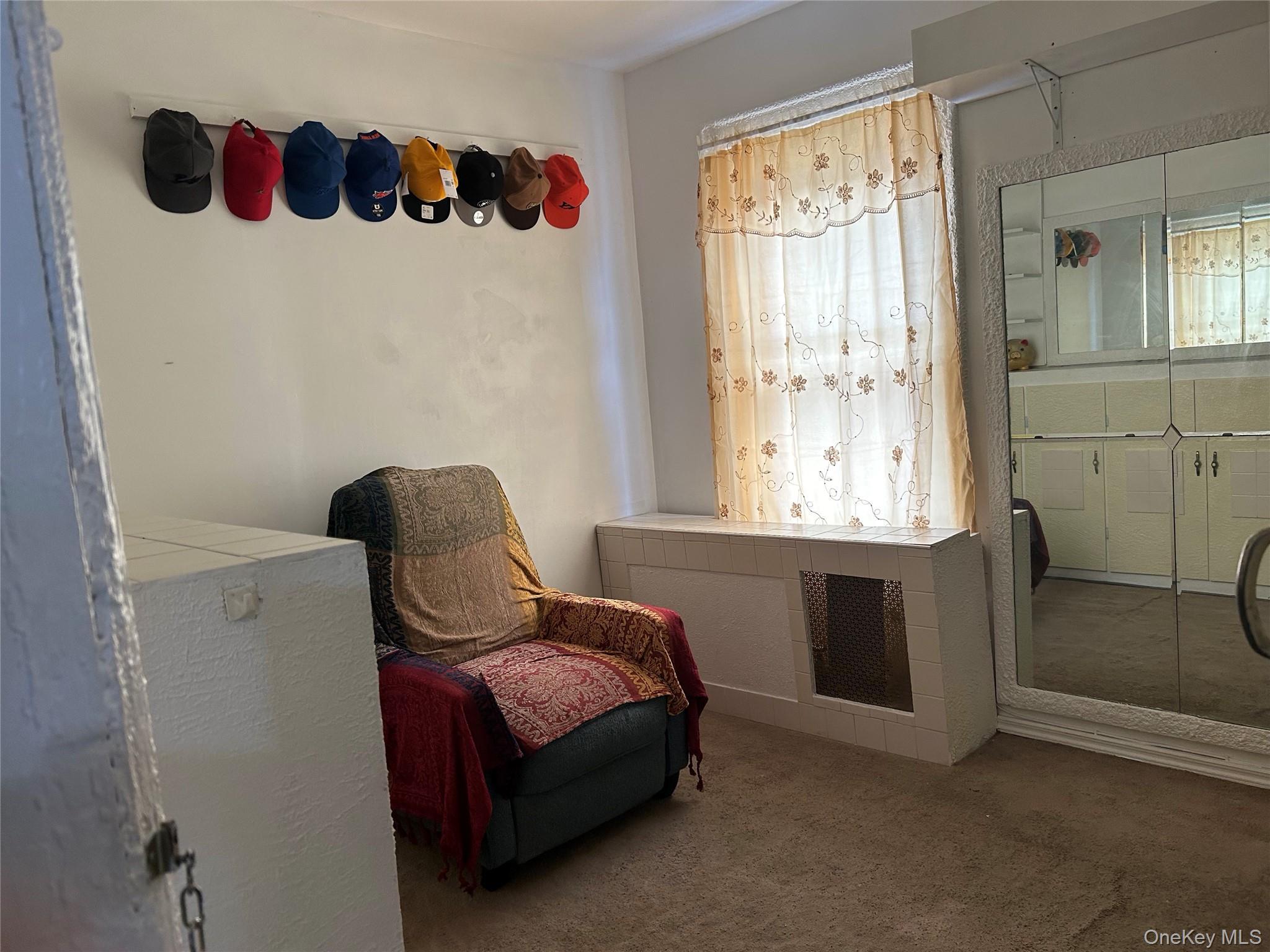 Single Family 131st Street Queens, NY 11420, MLS-1021890-6
