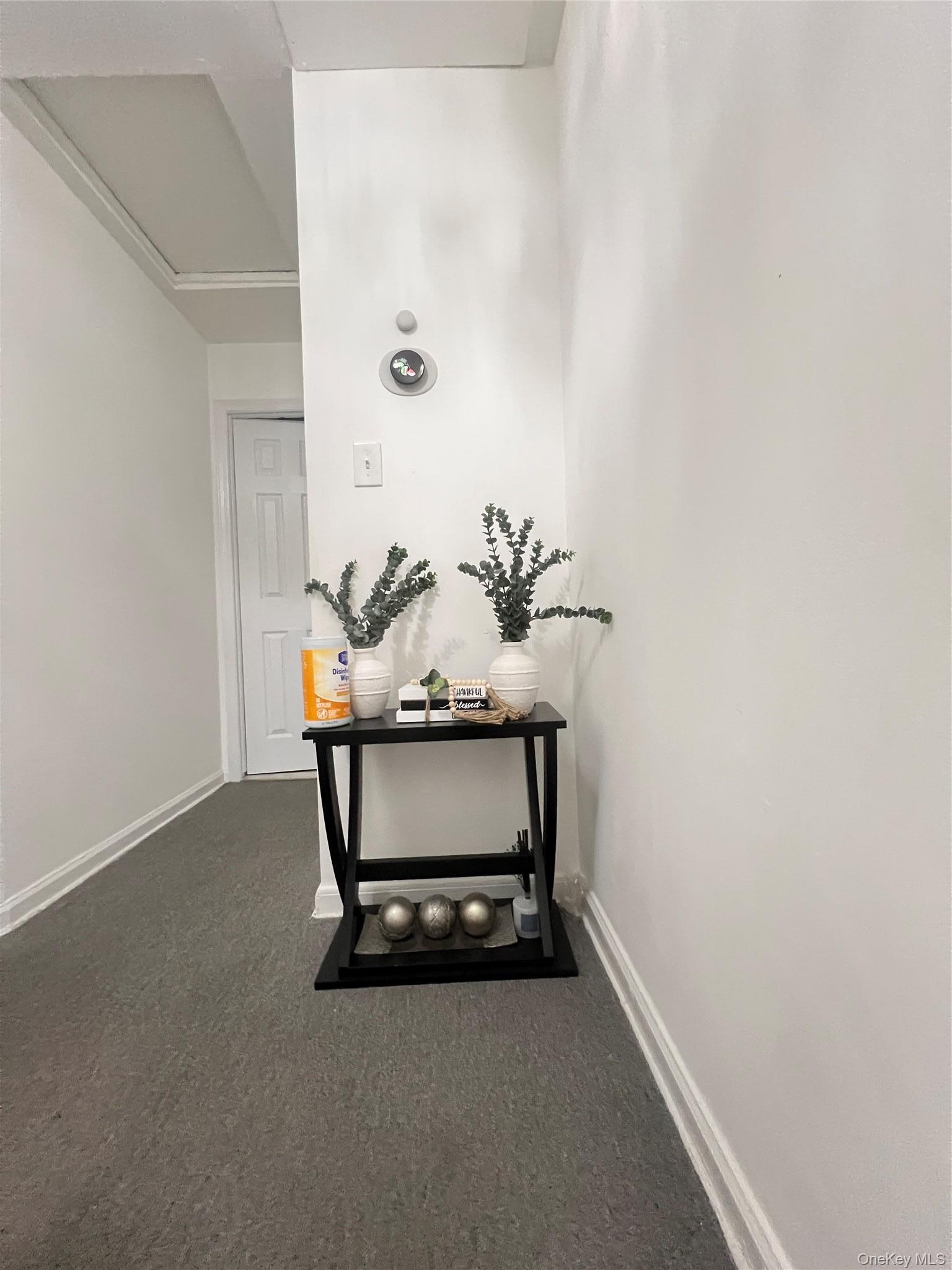 Single Family Murdock Avenue Bronx, NY 10466, MLS-1021997-11