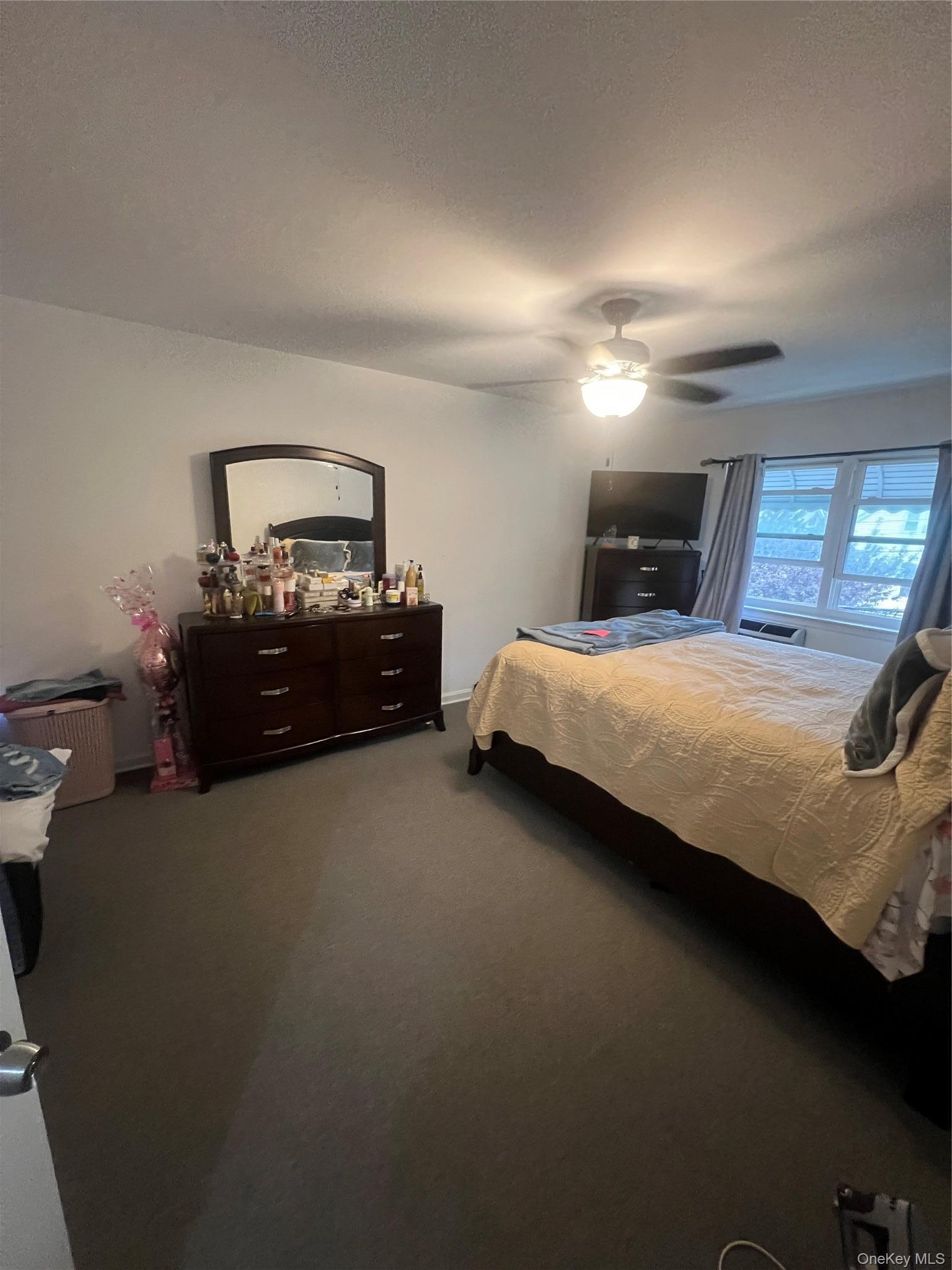 Single Family Murdock Avenue Bronx, NY 10466, MLS-1021997-17