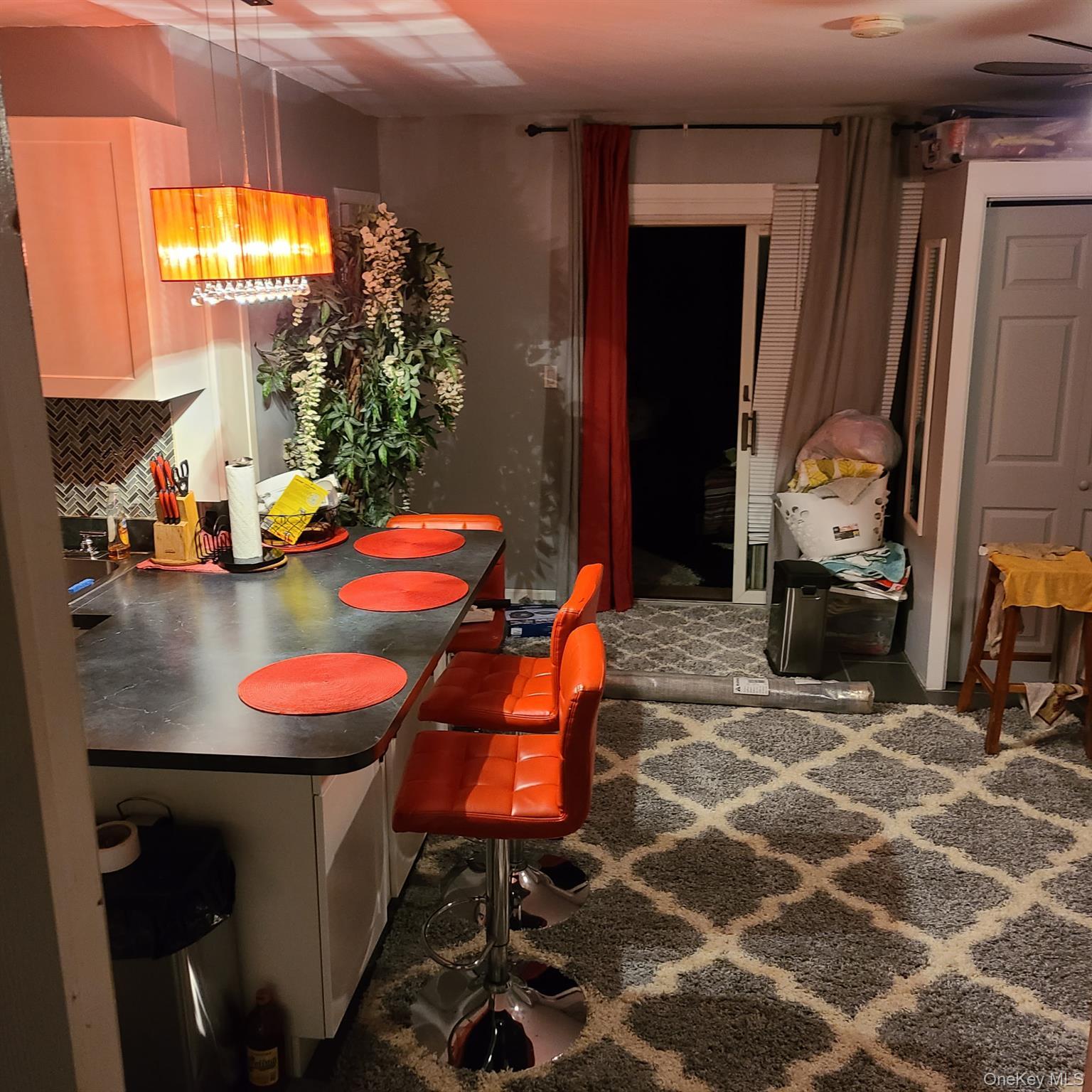 Single Family Murdock Avenue Bronx, NY 10466, MLS-1021997-20