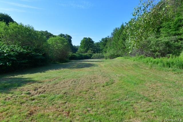 Single Family Grooville Road Sullivan County, NY 12758, MLS-1022048-40