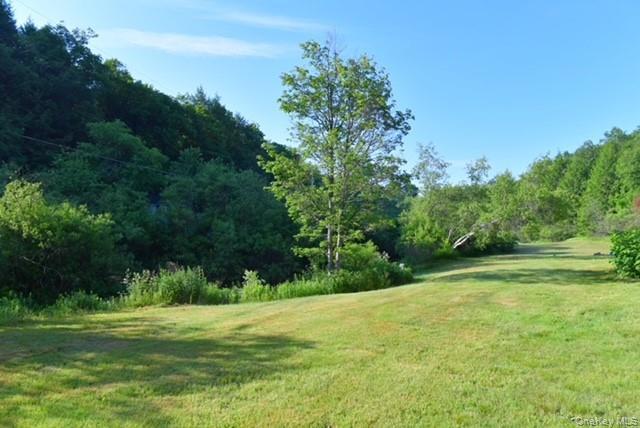 Single Family Grooville Road Sullivan County, NY 12758, MLS-1022048-41