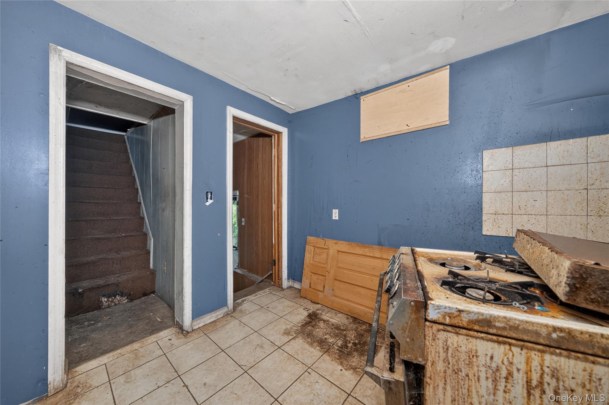 Single Family Best Street  Nassau County, NY 11520, MLS-1022091-2
