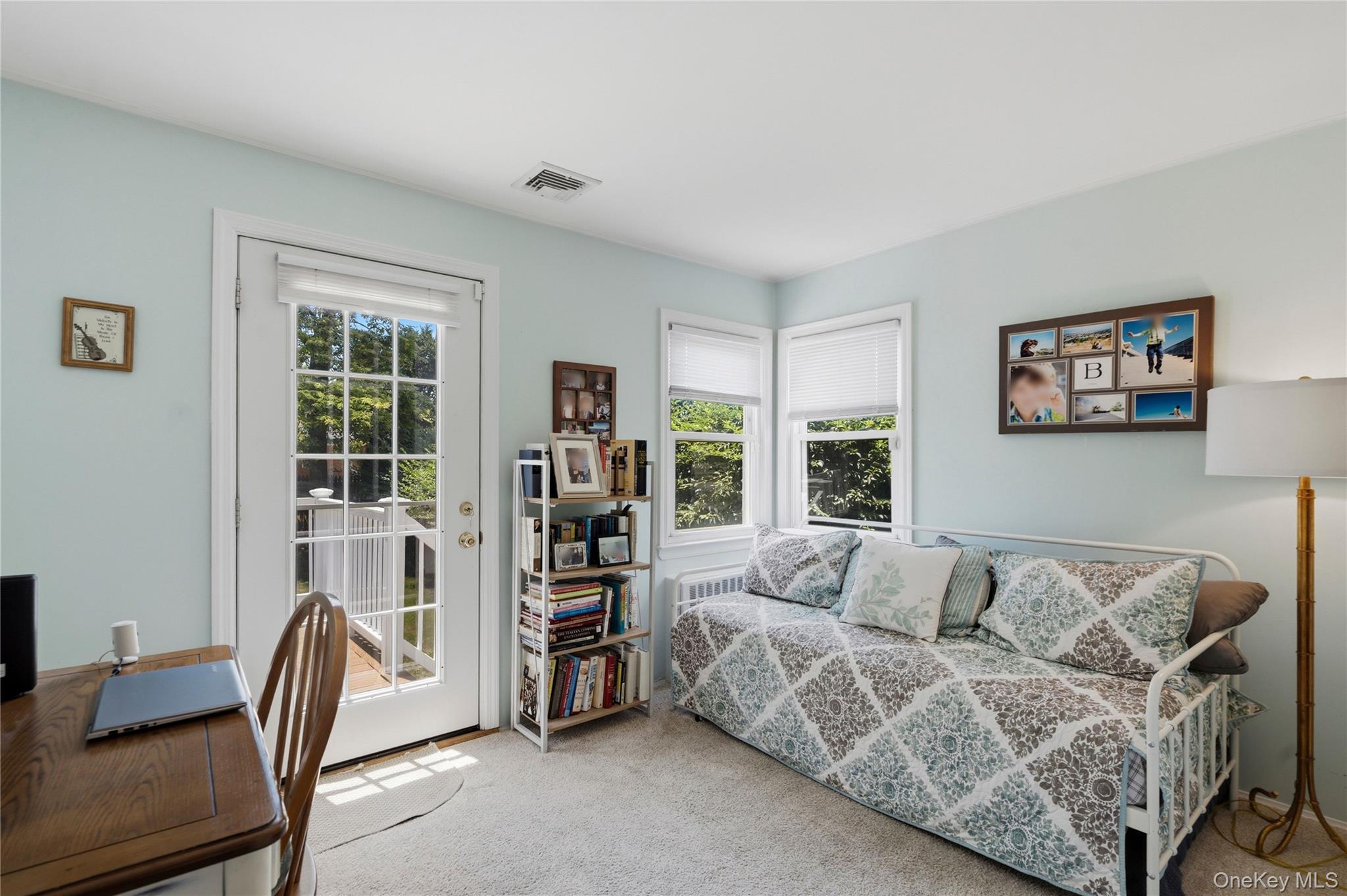 Single Family Liszt Street  Nassau County, NY 11801, MLS-1022152-11