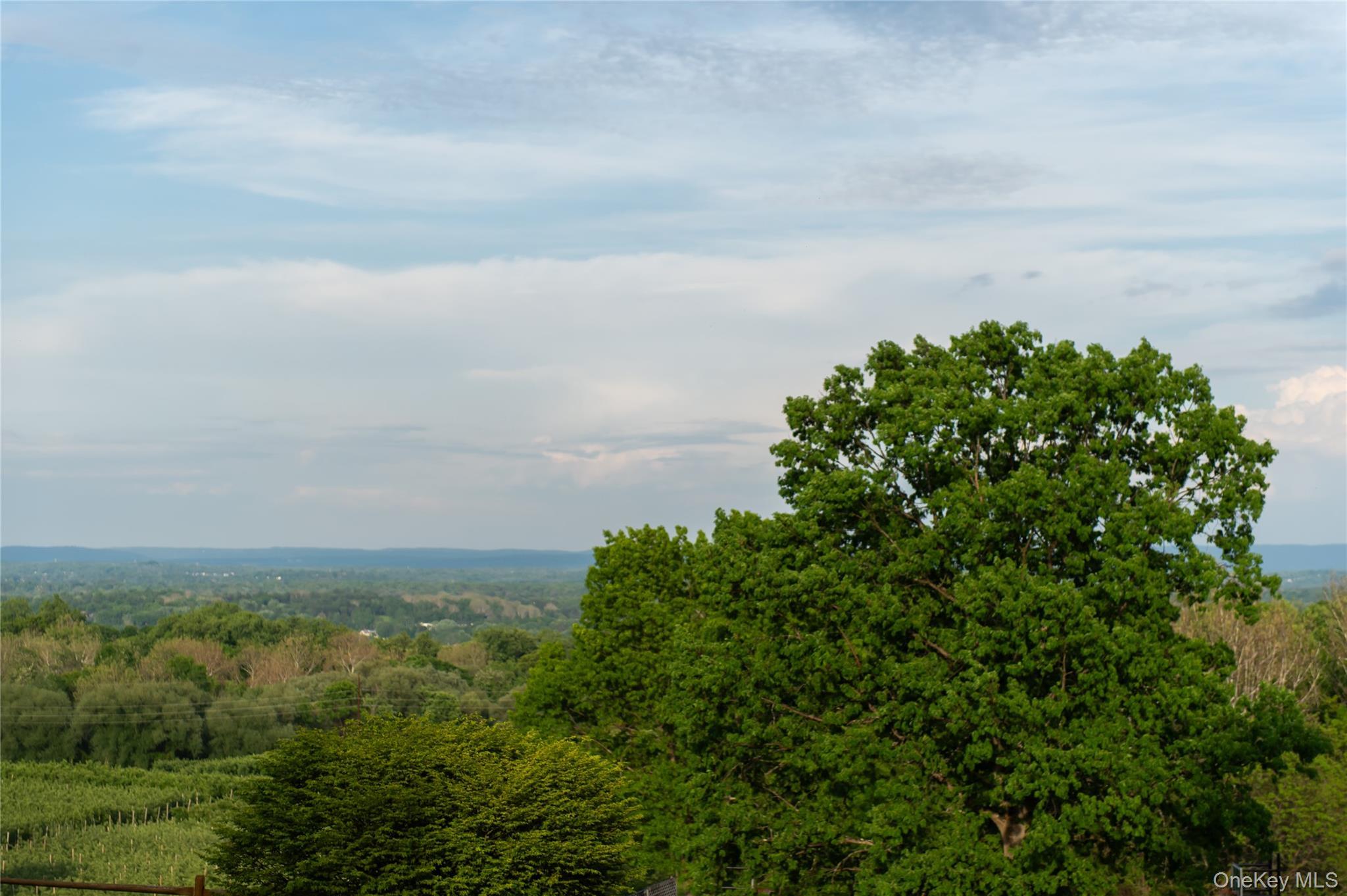 Single Family Willow Tree Road  Ulster County, NY 12547, MLS-1022153-21