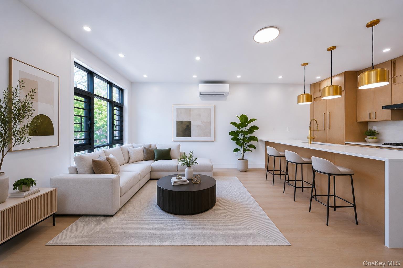 Single Family Goodwin Place Brooklyn, NY 11221, MLS-1022198-13