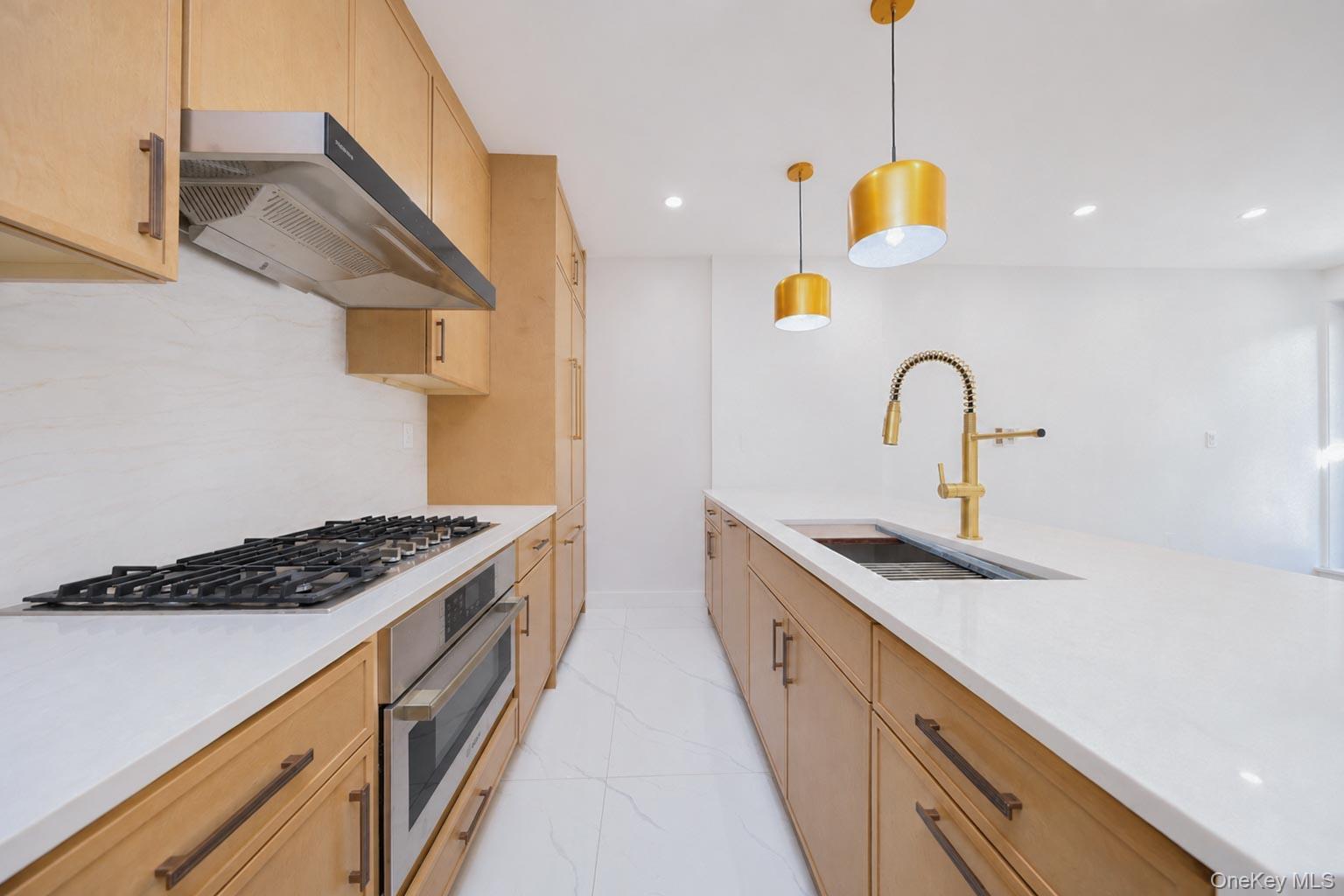 Single Family Goodwin Place Brooklyn, NY 11221, MLS-1022198-6