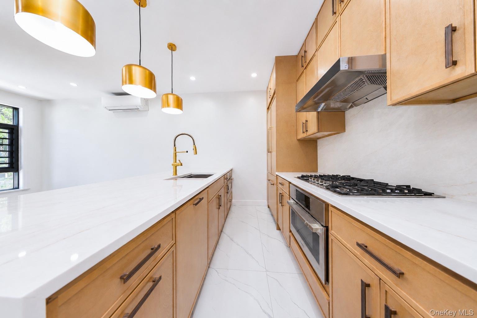 Single Family Goodwin Place Brooklyn, NY 11221, MLS-1022198-8