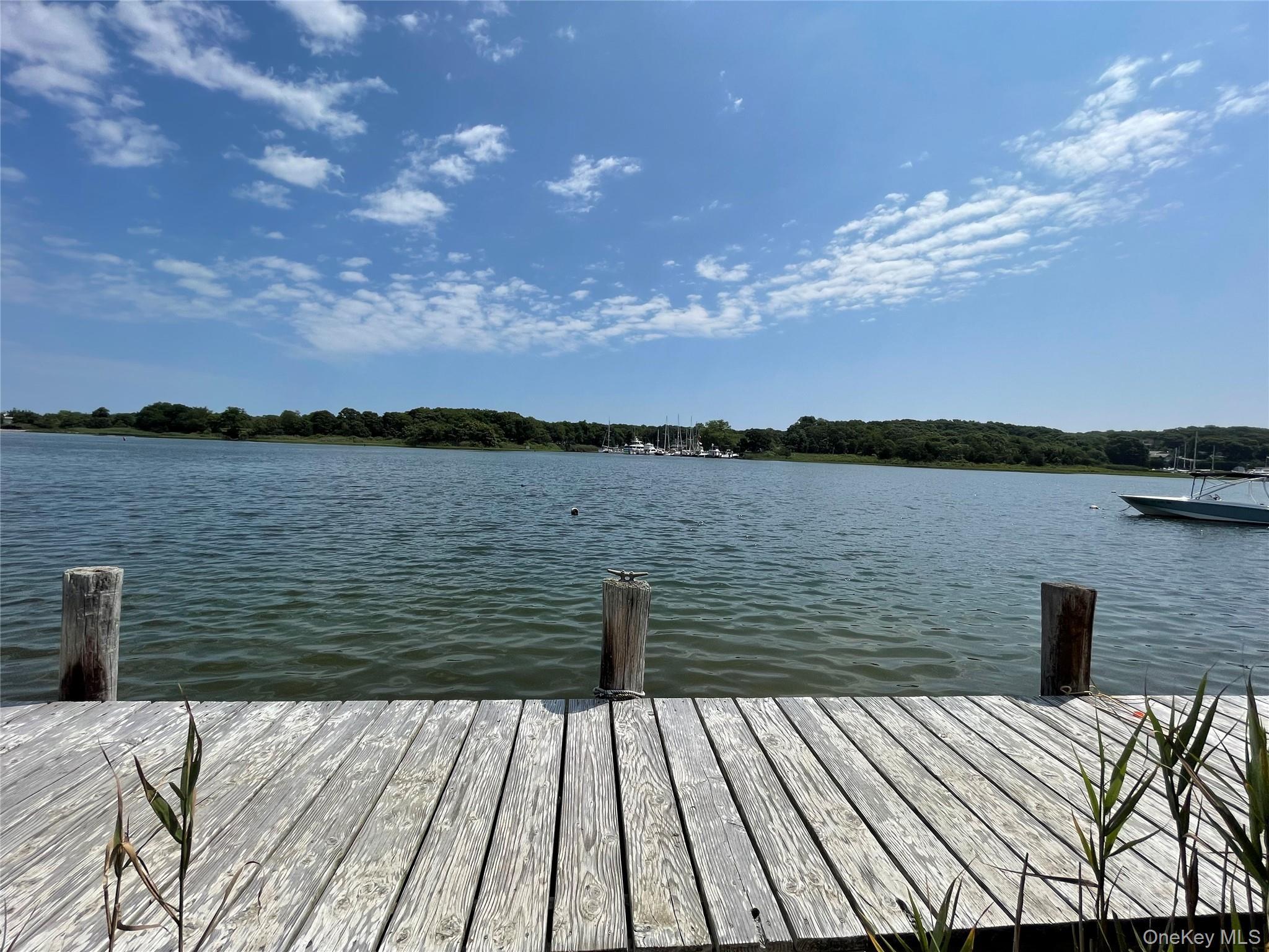 Single Family Albertines Lane Suffolk County, NY 11937, MLS-1022210-17