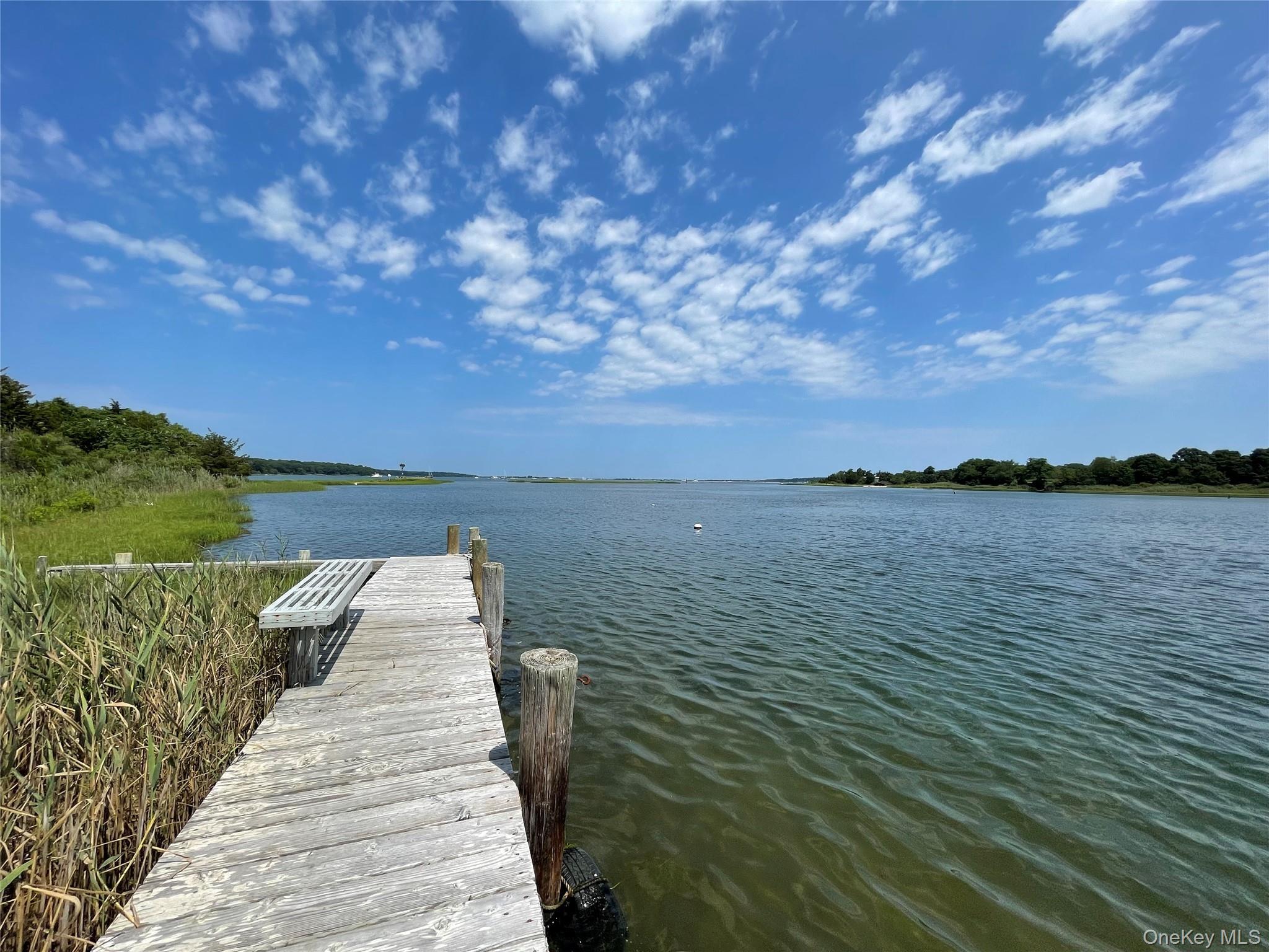 Single Family Albertines Lane Suffolk County, NY 11937, MLS-1022210-18