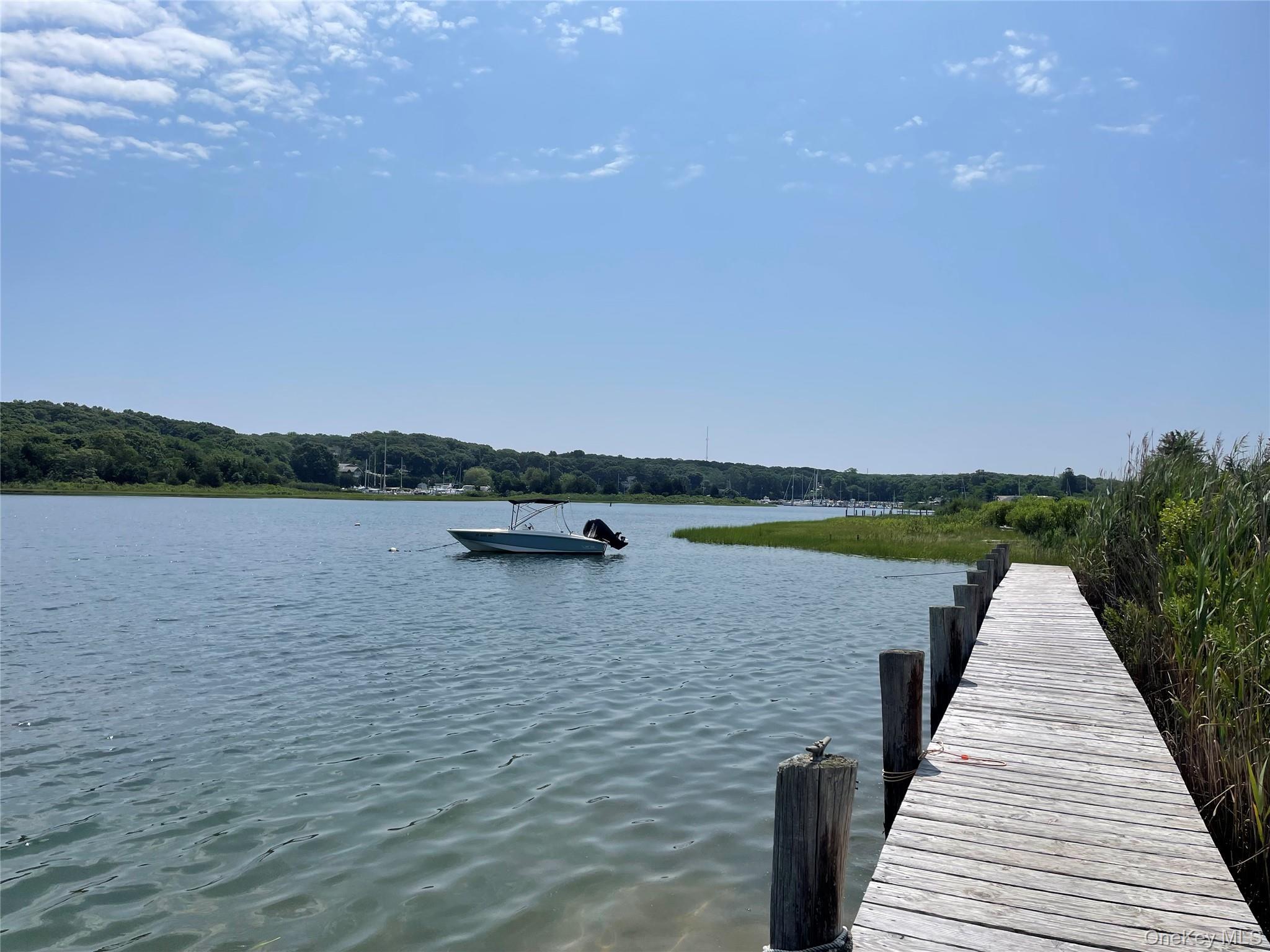 Single Family Albertines Lane Suffolk County, NY 11937, MLS-1022210-19