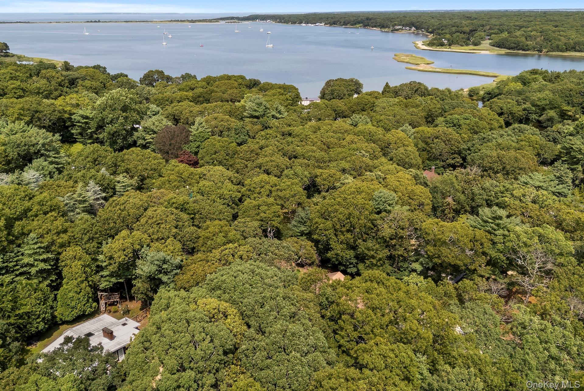 Single Family Albertines Lane Suffolk County, NY 11937, MLS-1022210-2