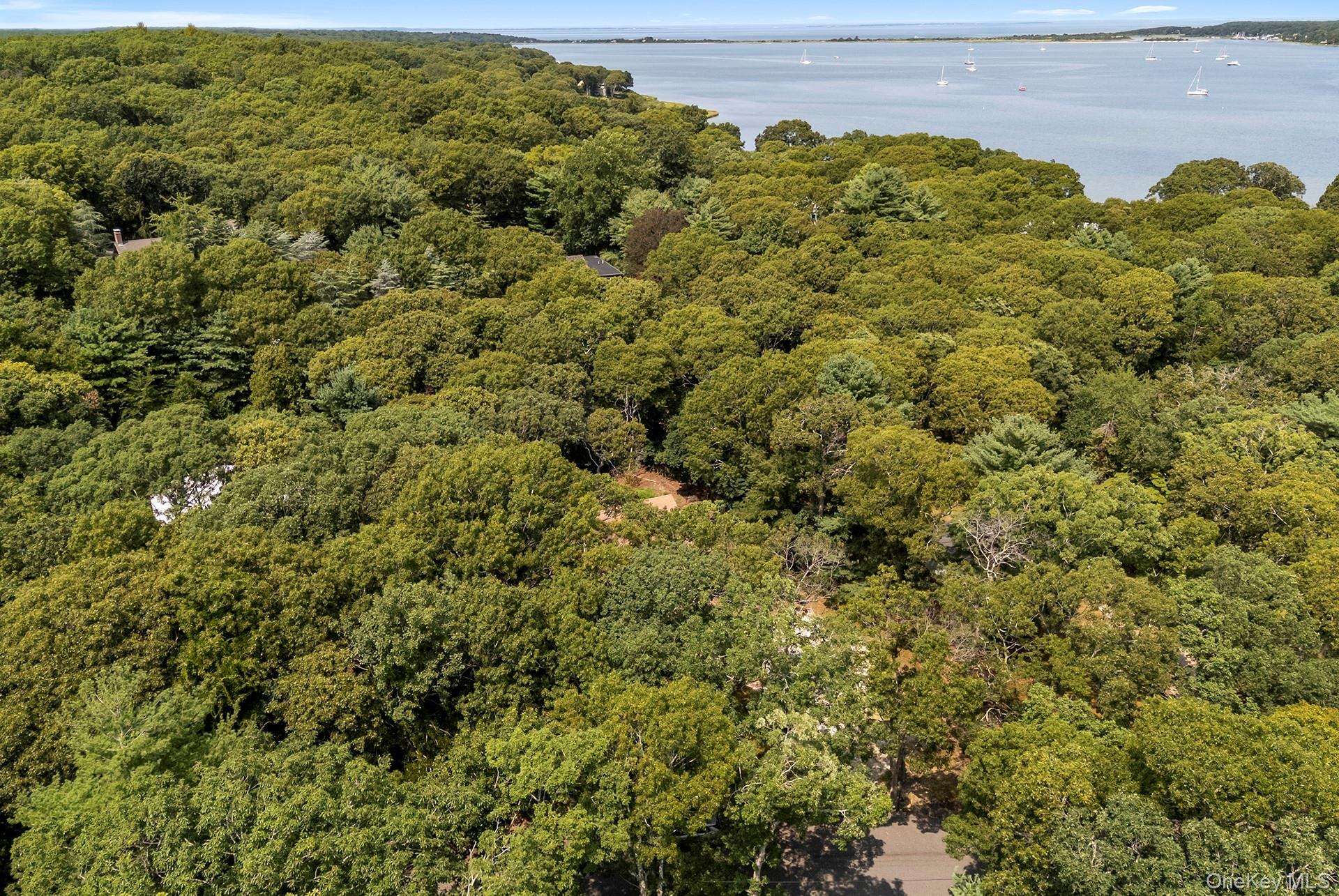 Single Family Albertines Lane Suffolk County, NY 11937, MLS-1022210-24