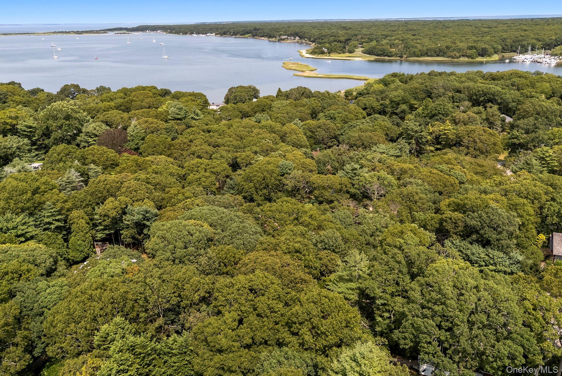 Single Family Albertines Lane Suffolk County, NY 11937, MLS-1022210-25