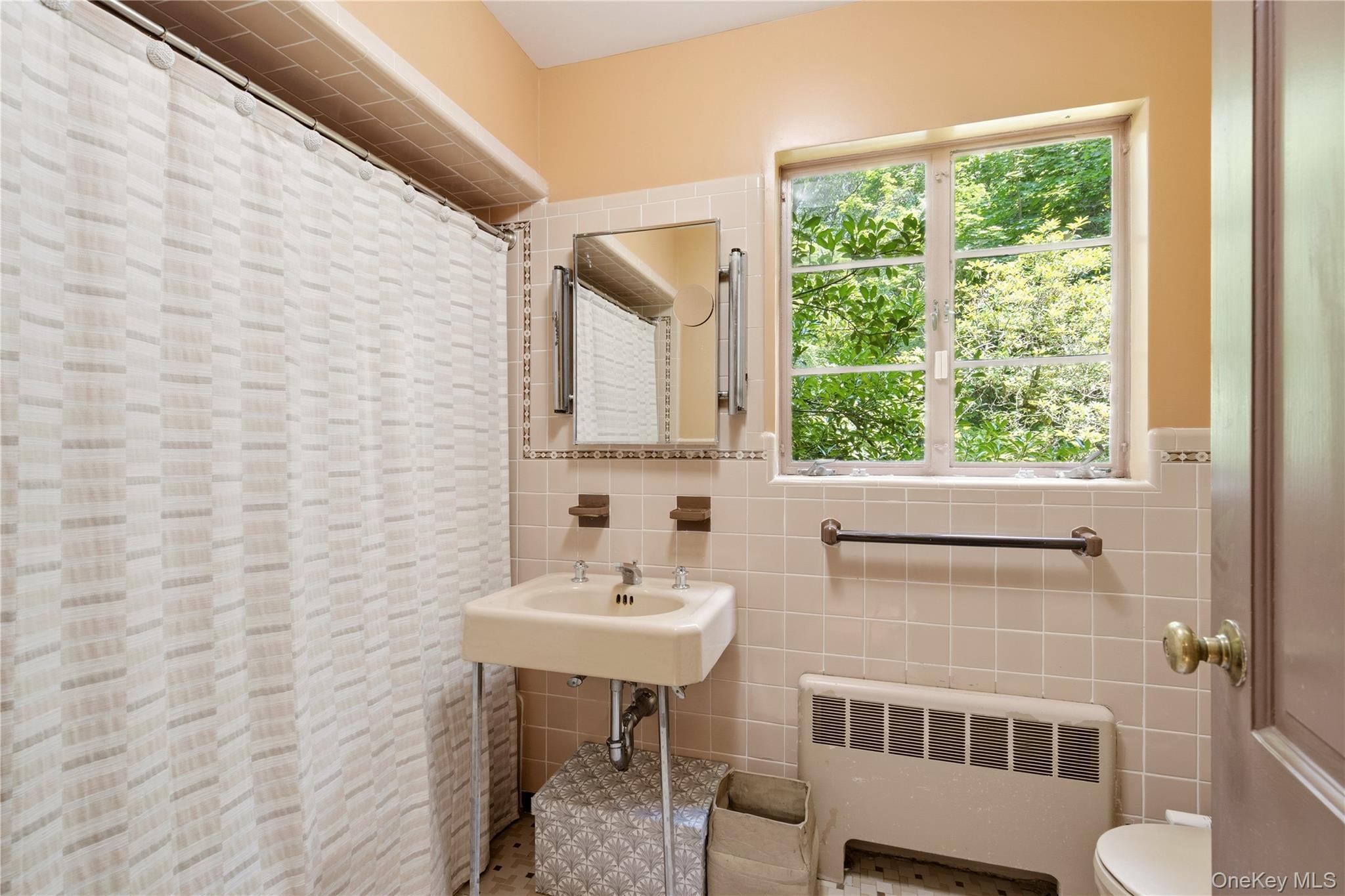 Single Family Bryant Avenue Nassau County, NY 11576, MLS-1022251-25