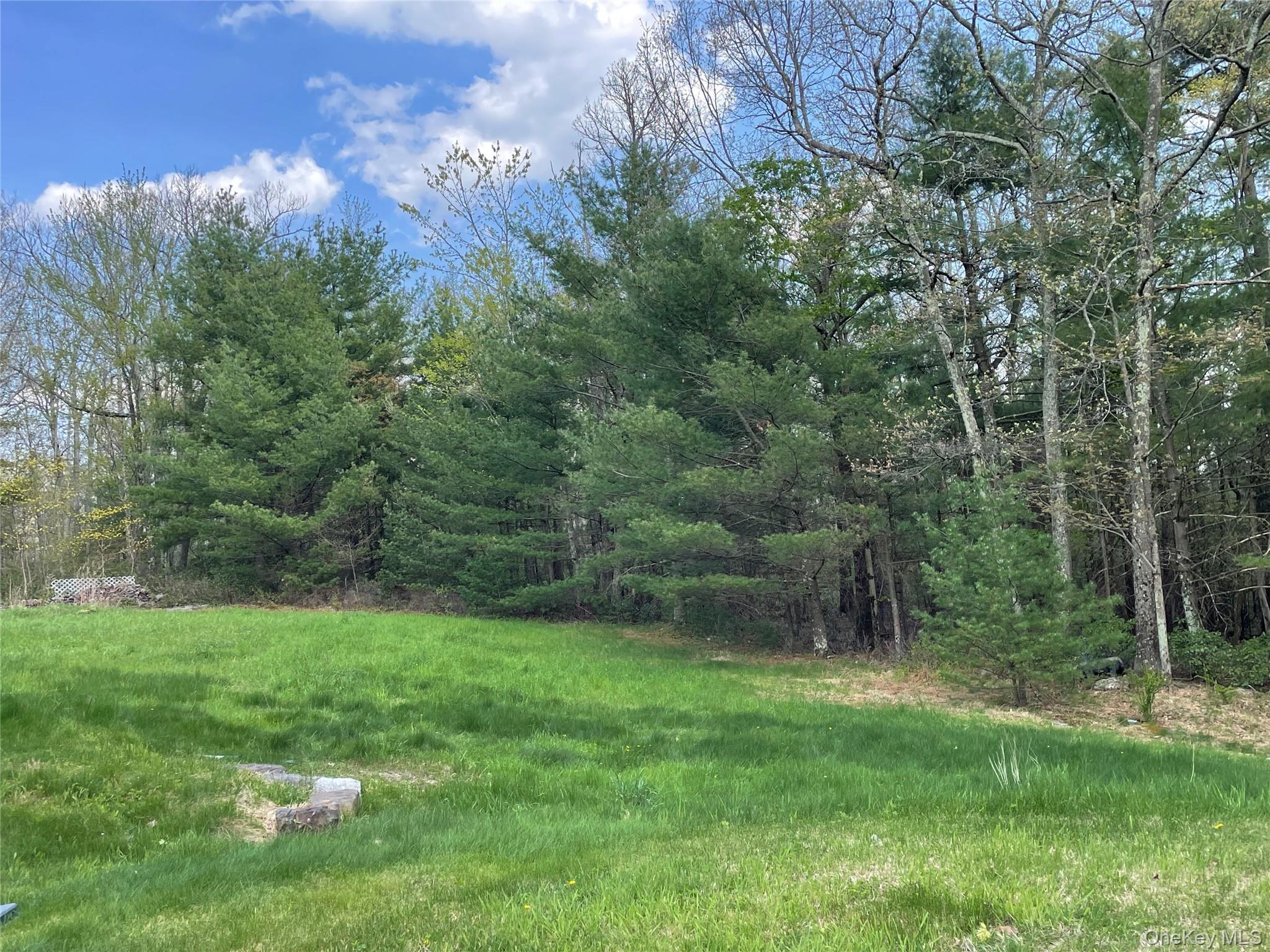 Single Family Masten Lake Court  Sullivan County, NY 12790, MLS-1022368-16