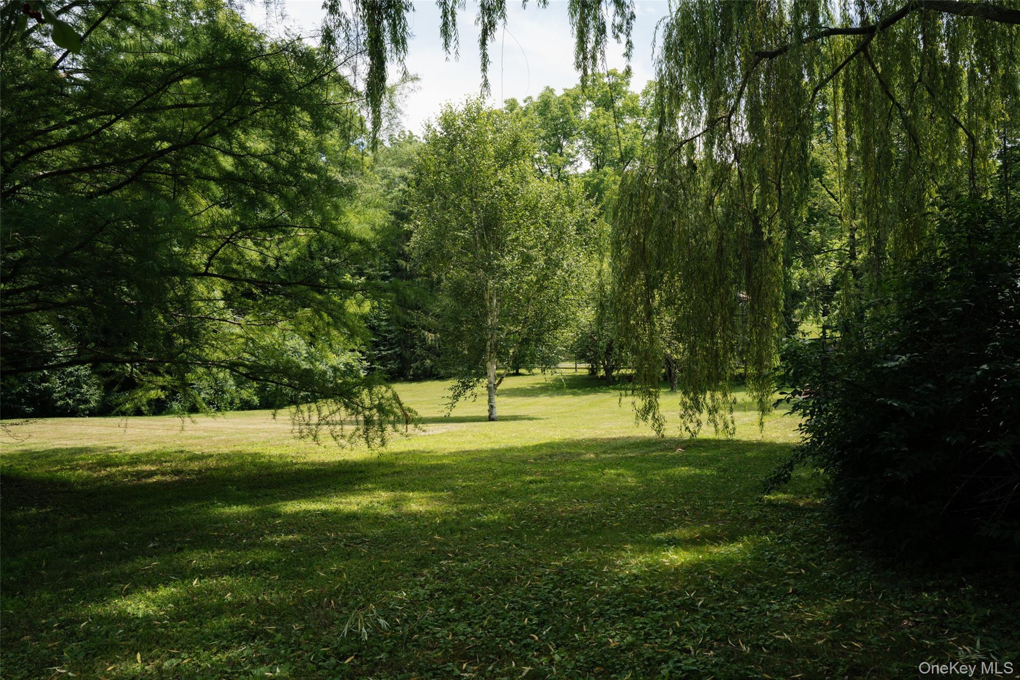 Single Family County Route 19 Columbia County, NY 12571, MLS-1022485-20