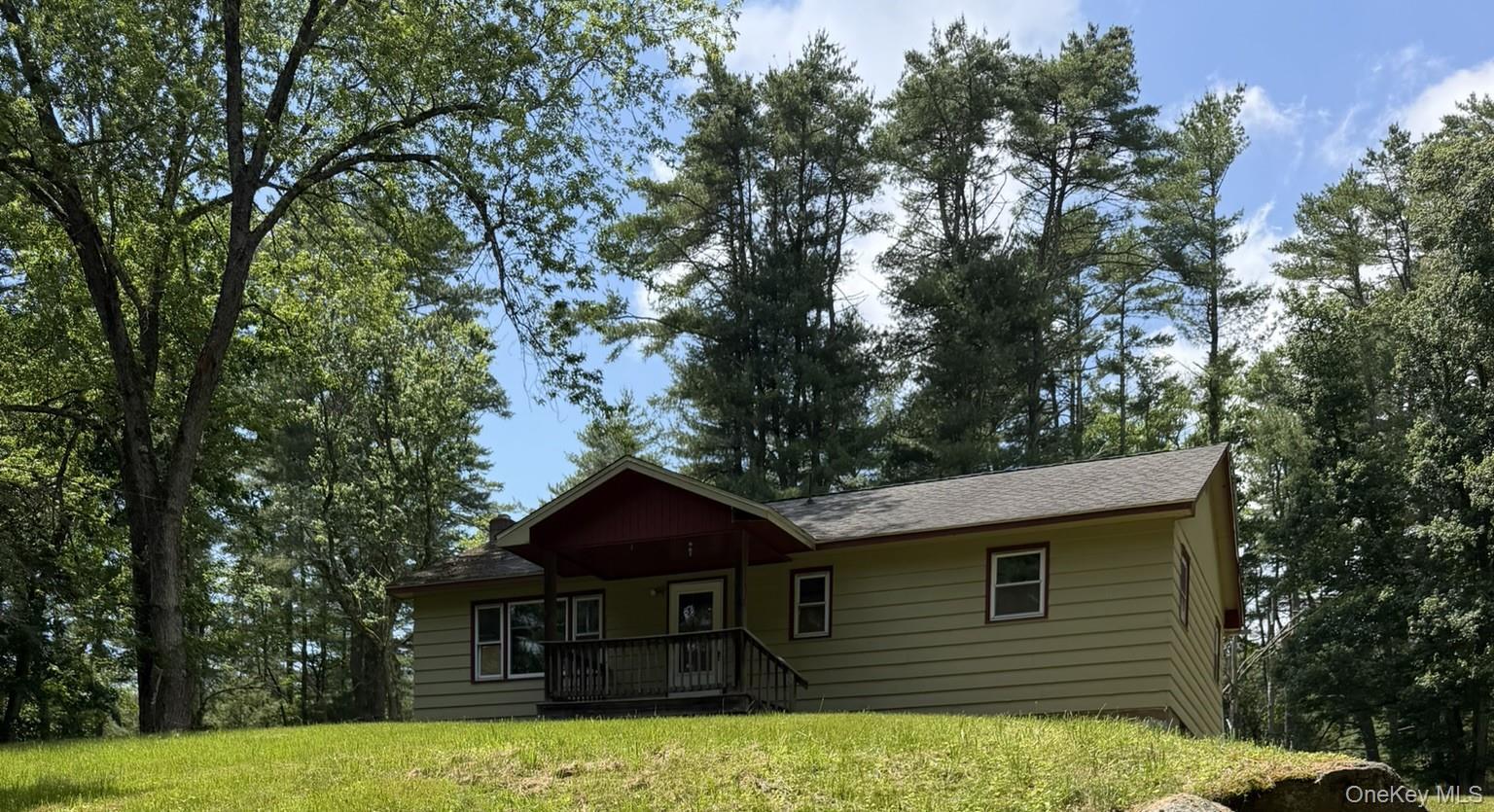 Single Family Steges Road Sullivan County, NY 12743, MLS-1022486-2