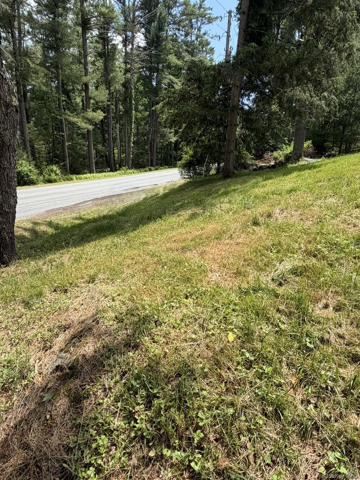 Single Family Steges Road Sullivan County, NY 12743, MLS-1022486-5