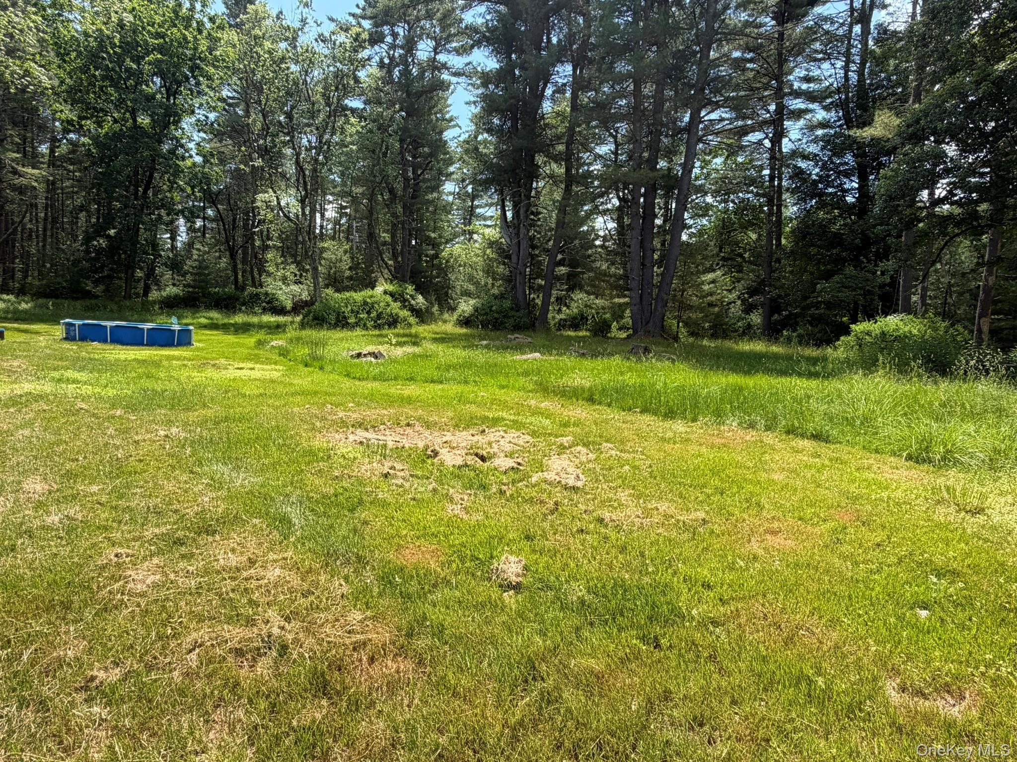 Single Family Steges Road Sullivan County, NY 12743, MLS-1022486-6