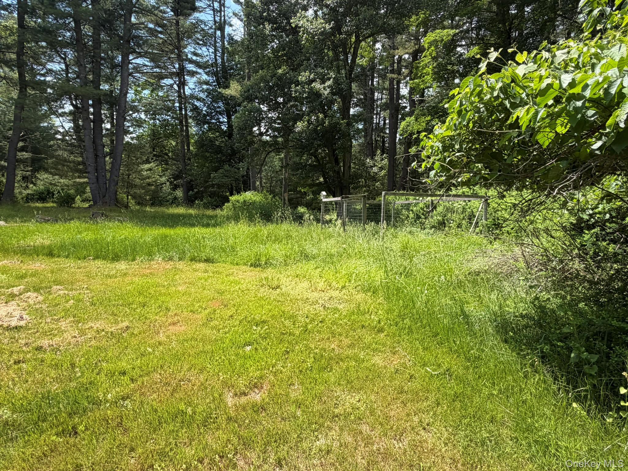 Single Family Steges Road Sullivan County, NY 12743, MLS-1022486-7