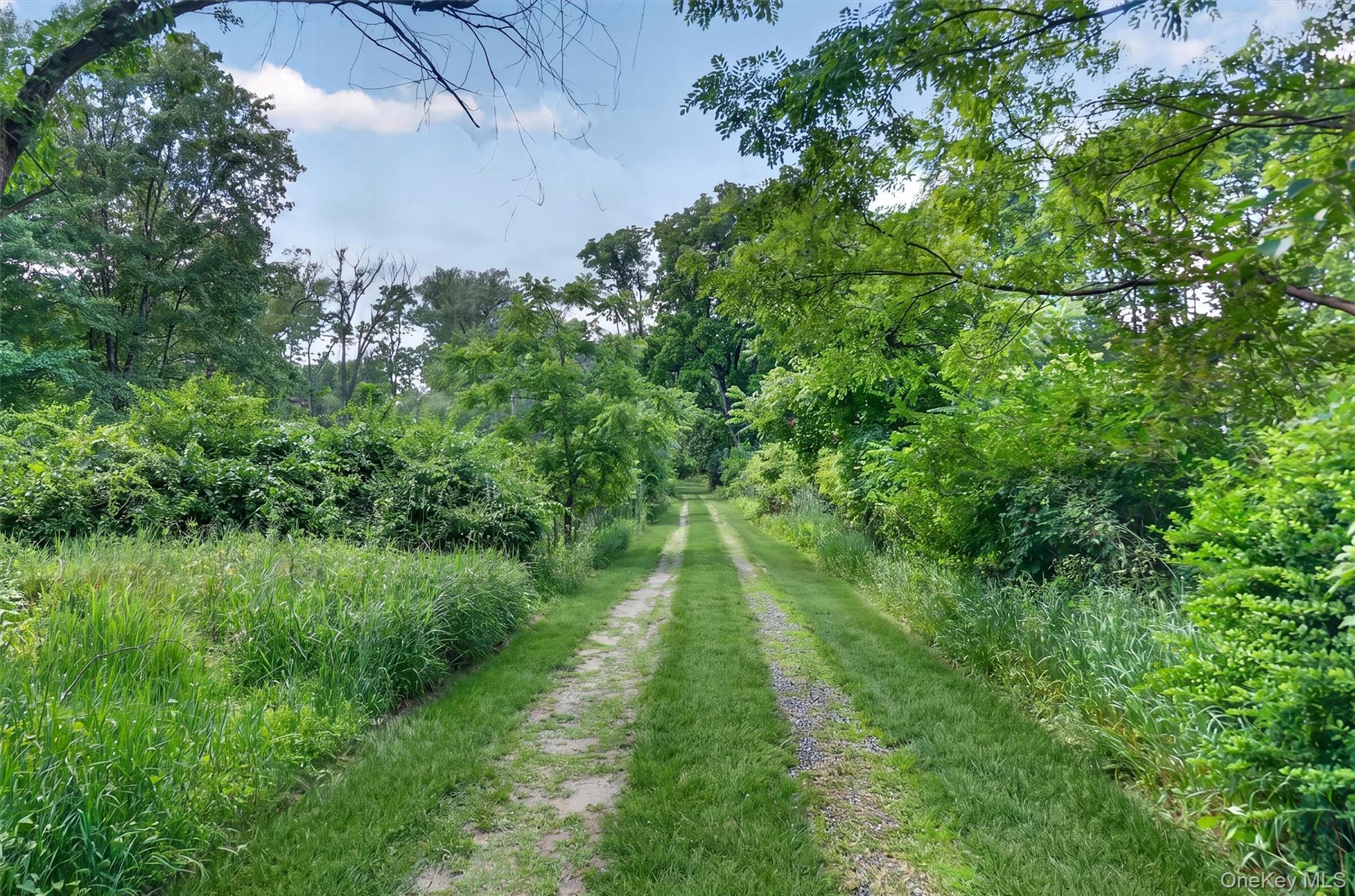 Single Family Linden Avenue Dutchess County, NY 12571, MLS-1022522-3