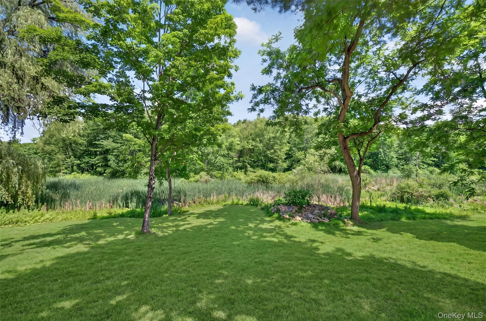 Single Family Linden Avenue Dutchess County, NY 12571, MLS-1022522-32