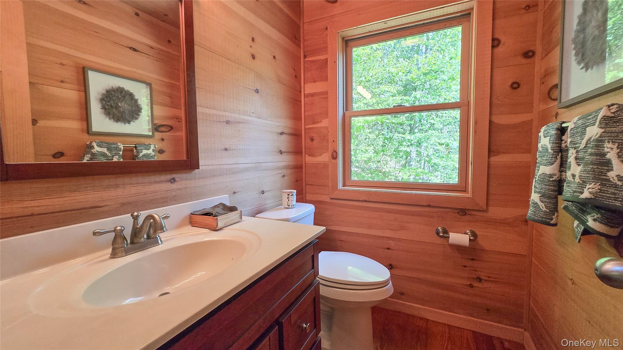 Single Family Hatchery Road  Sullivan County, NY 12777, MLS-1022570-14