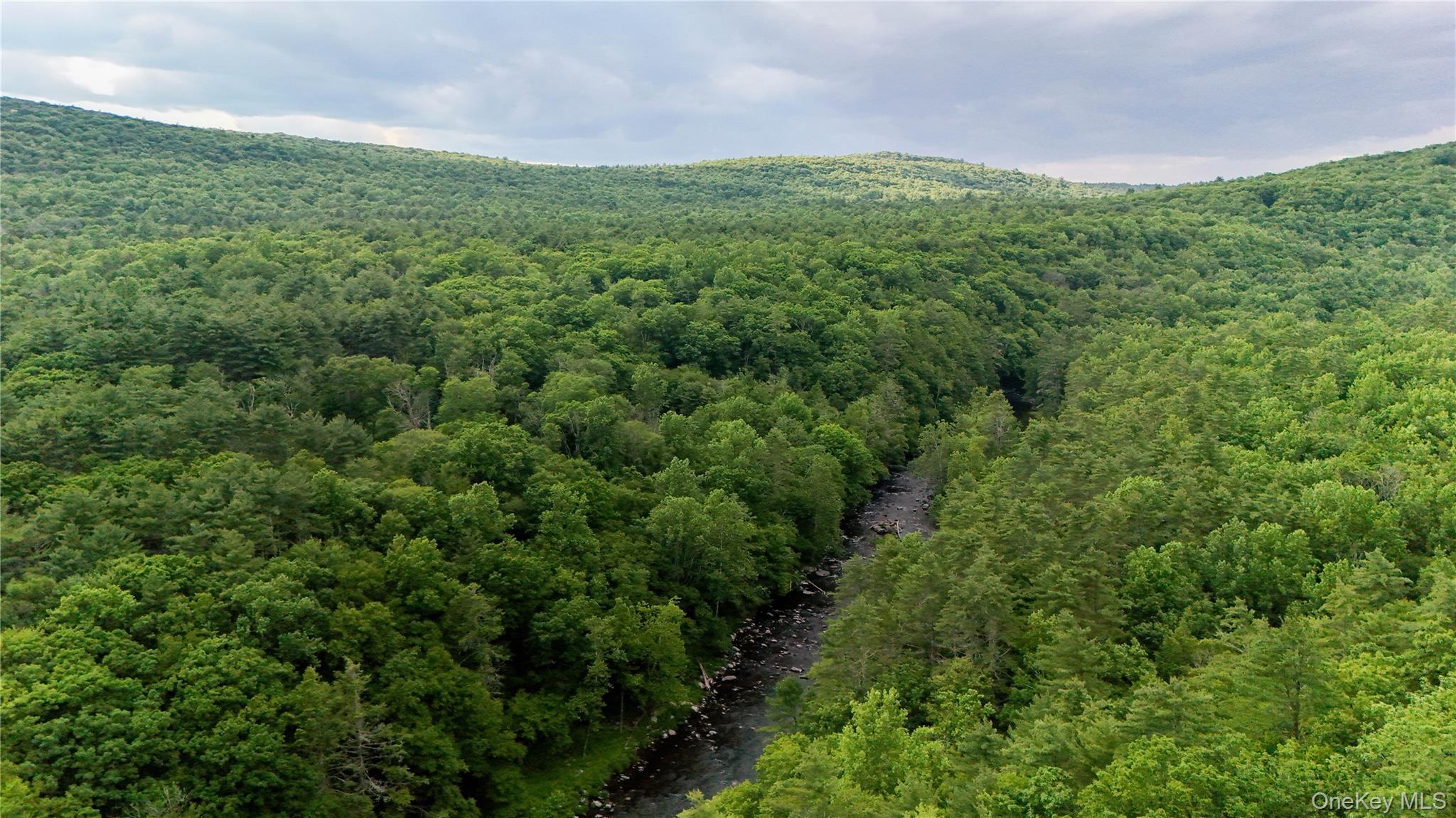 Single Family Hatchery Road  Sullivan County, NY 12777, MLS-1022570-28