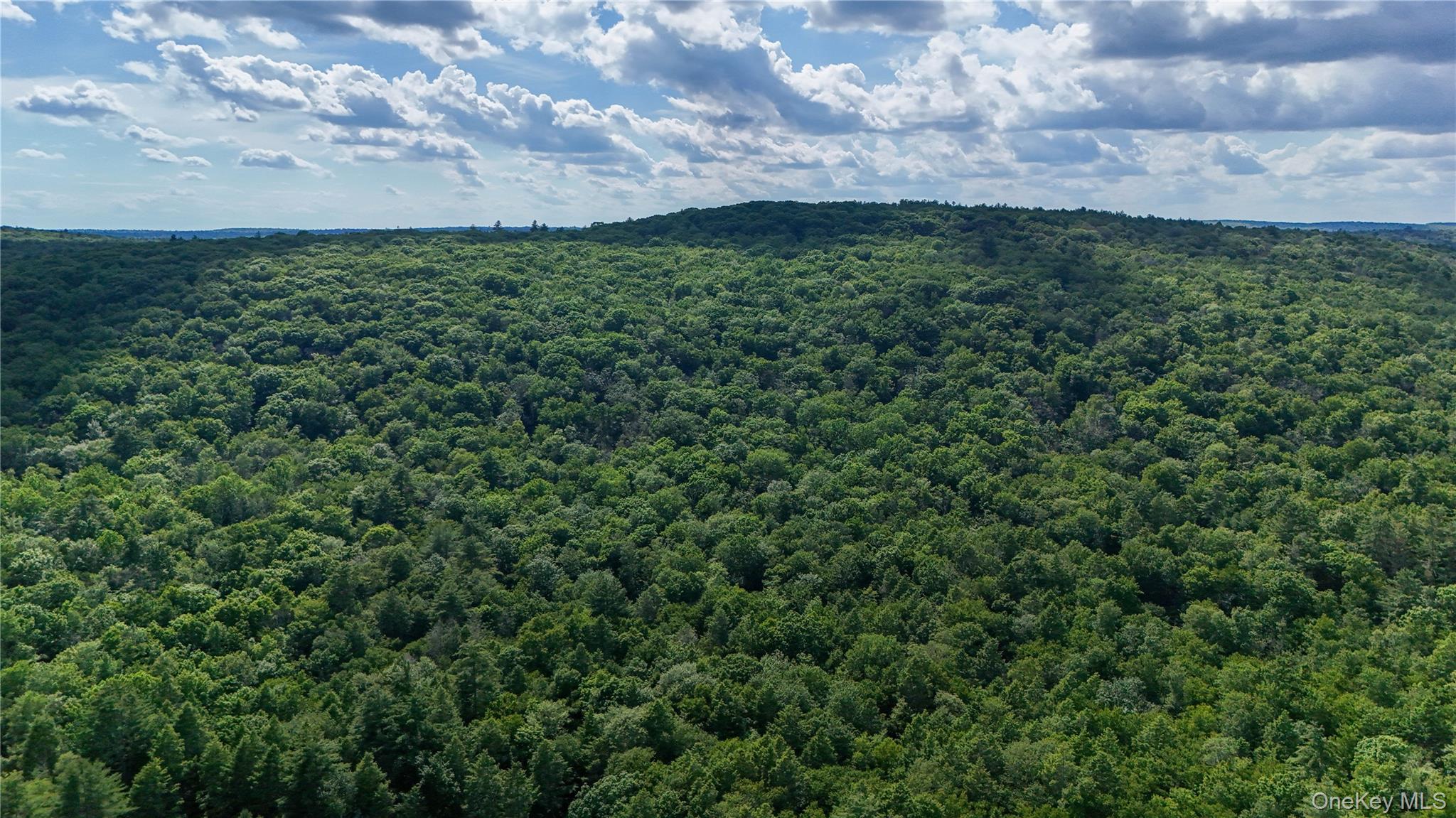 Single Family Hatchery Road  Sullivan County, NY 12777, MLS-1022570-29